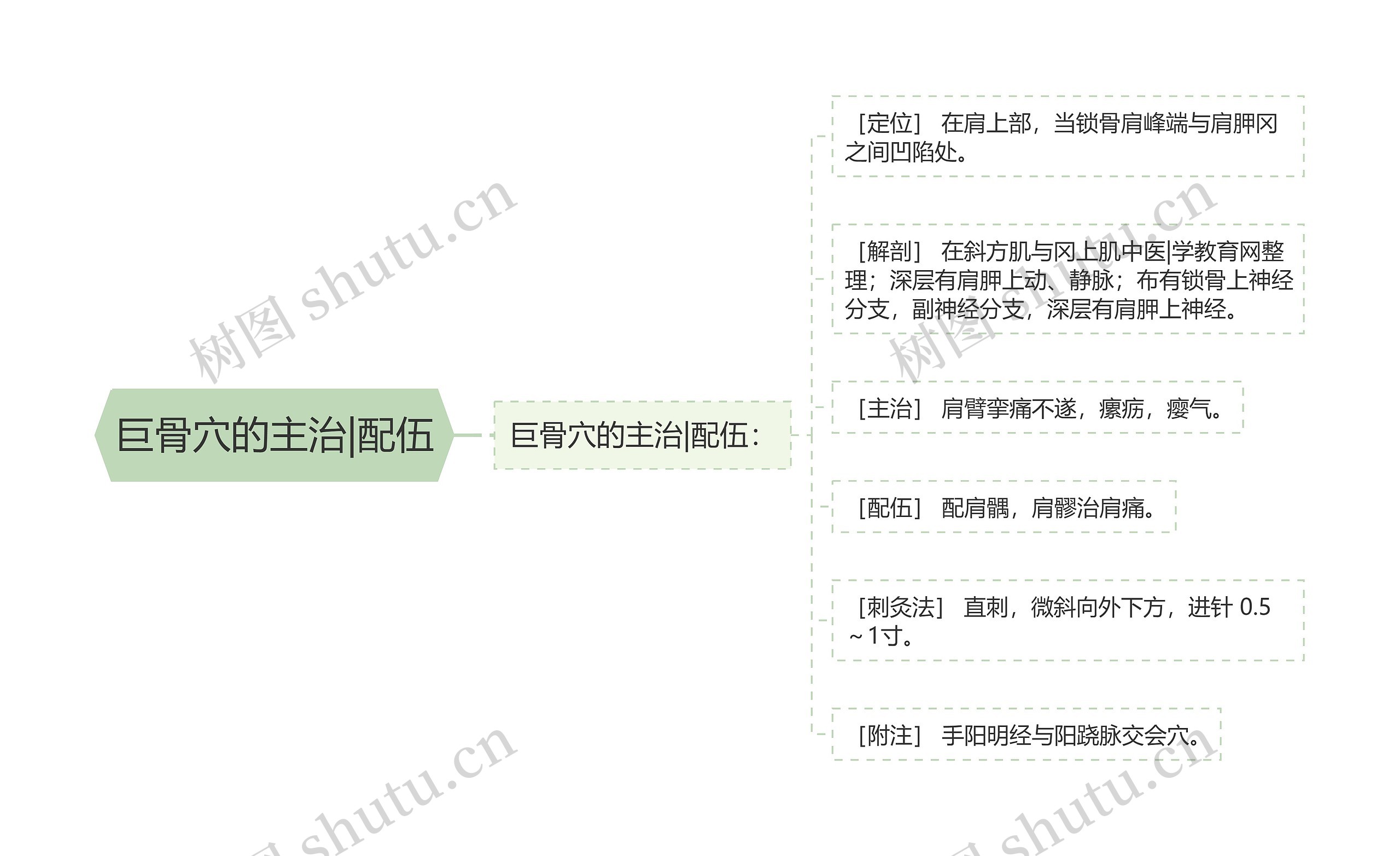 巨骨穴的主治|配伍思维导图