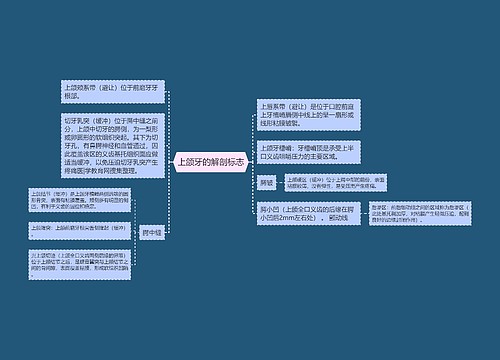 上颌牙的解剖标志