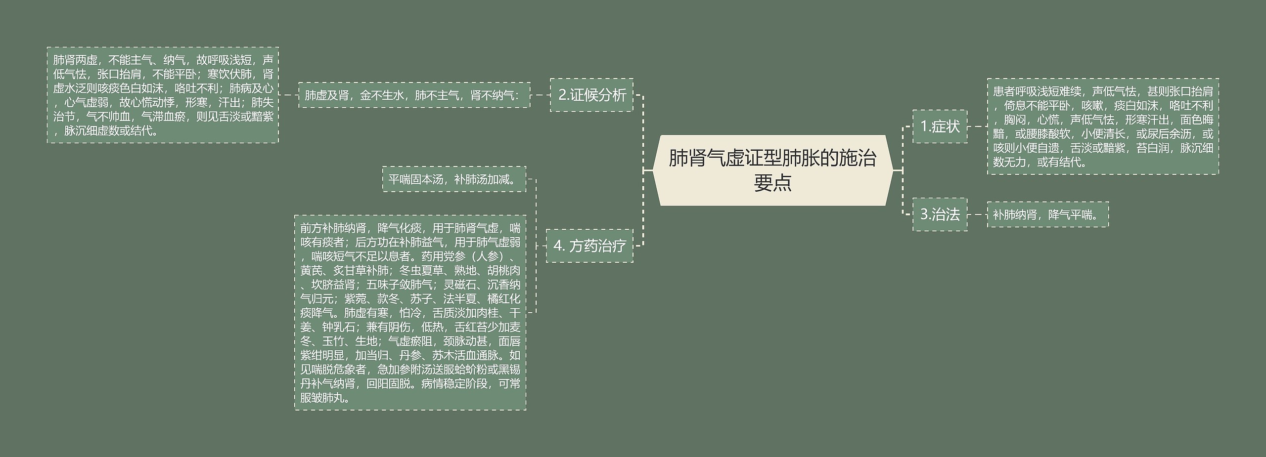 肺肾气虚证型肺胀的施治要点思维导图