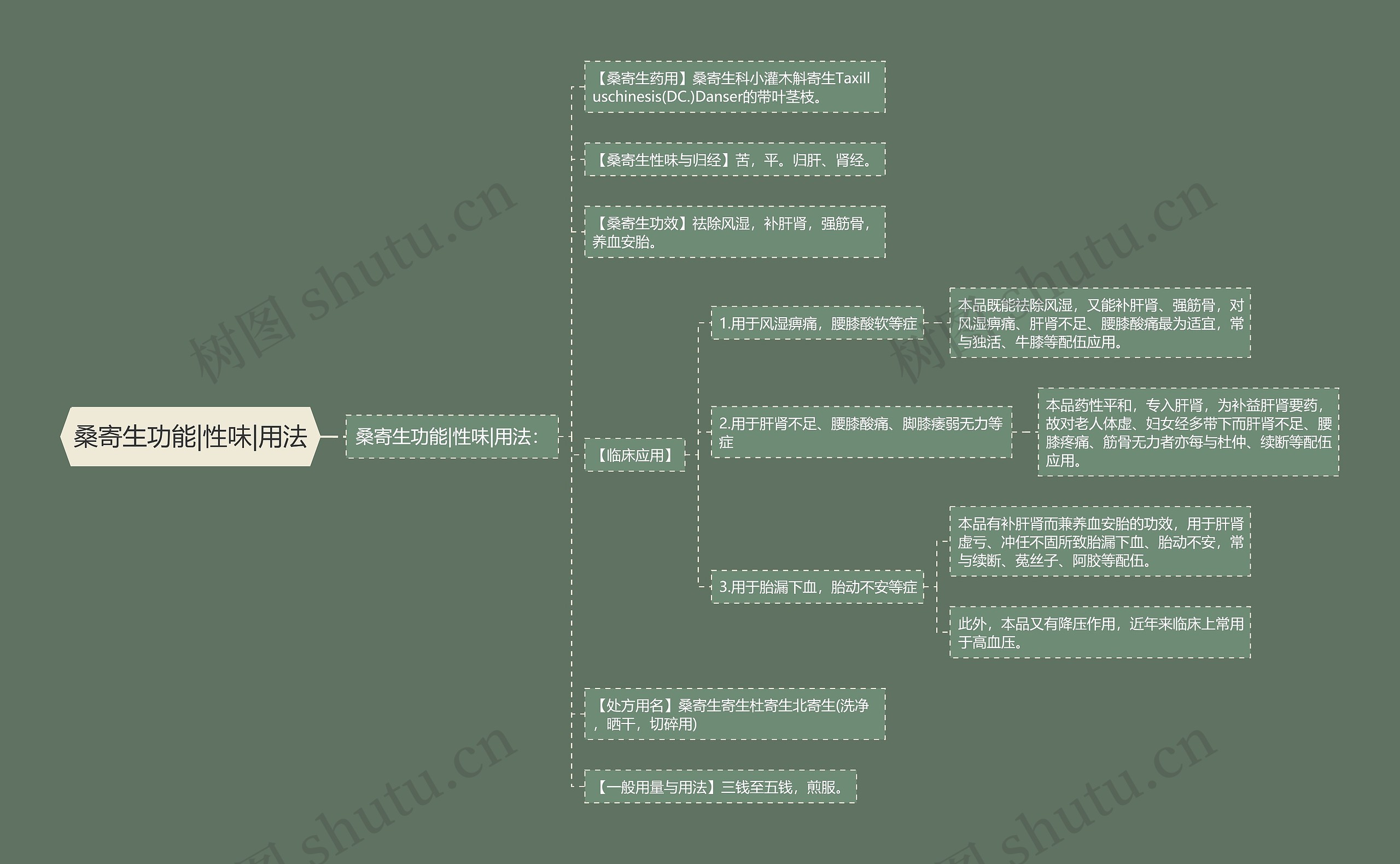 桑寄生功能|性味|用法思维导图