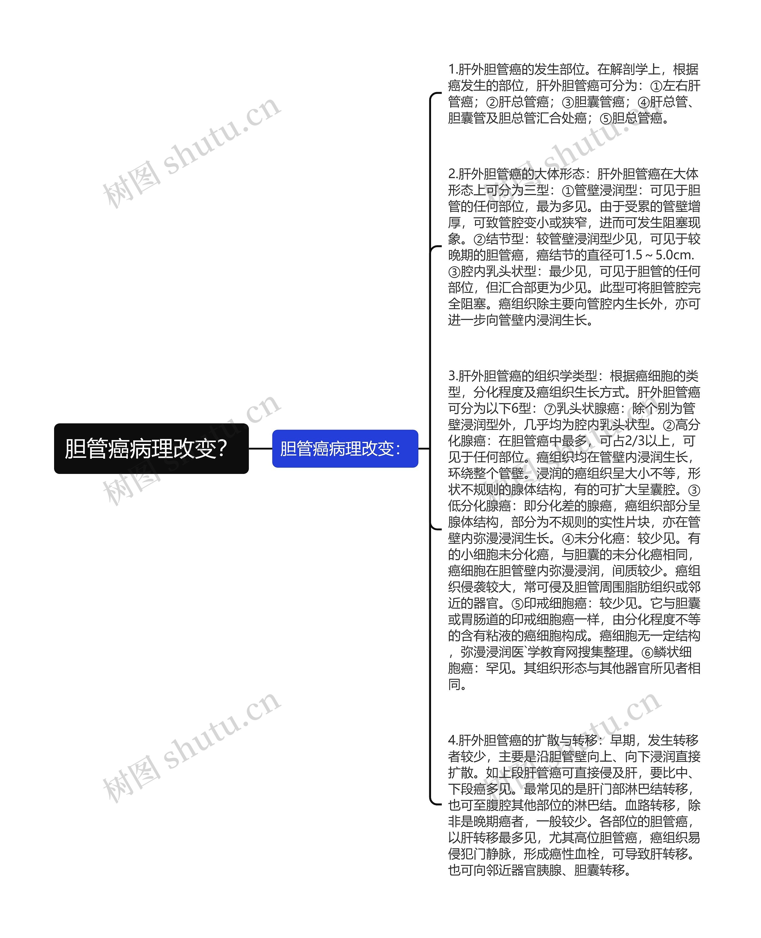 胆管癌病理改变？