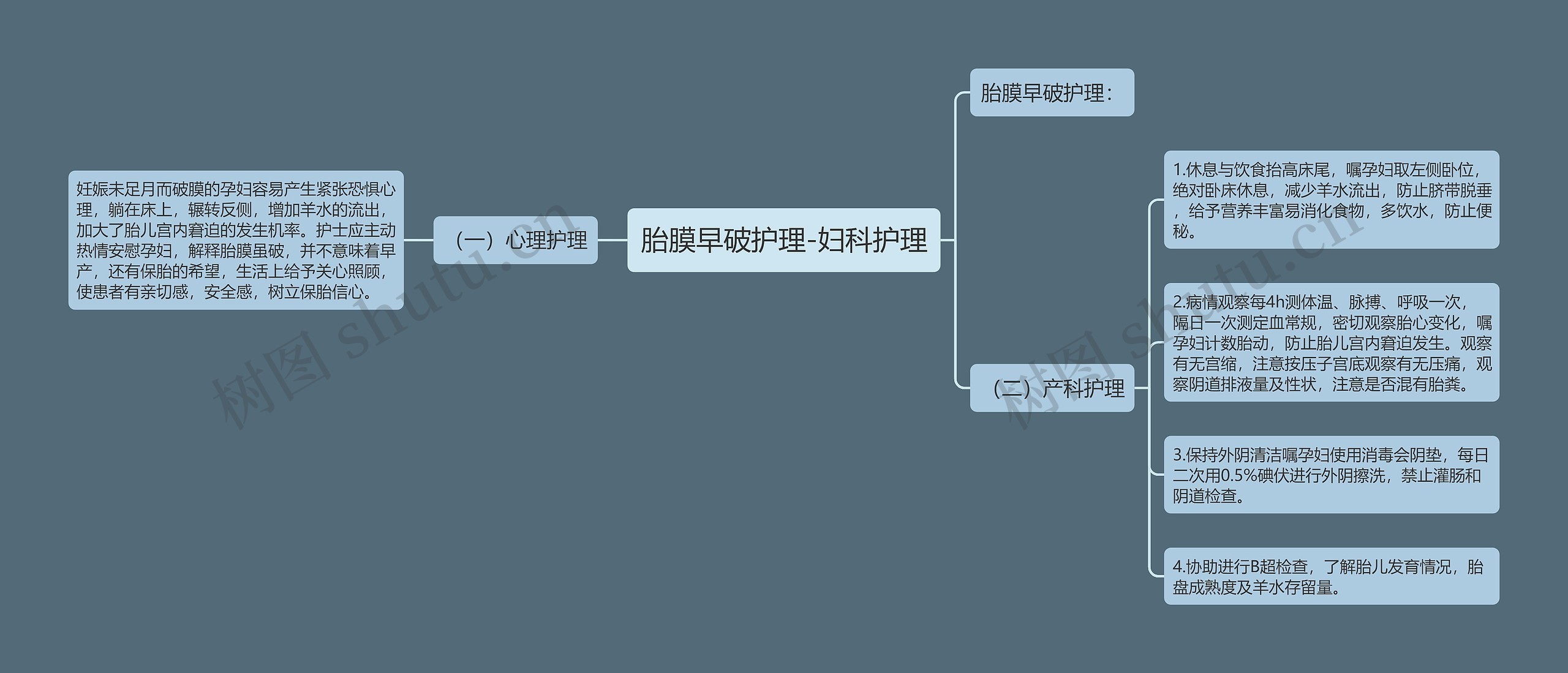 胎膜早破护理-妇科护理 胎膜早破护理-妇科护理