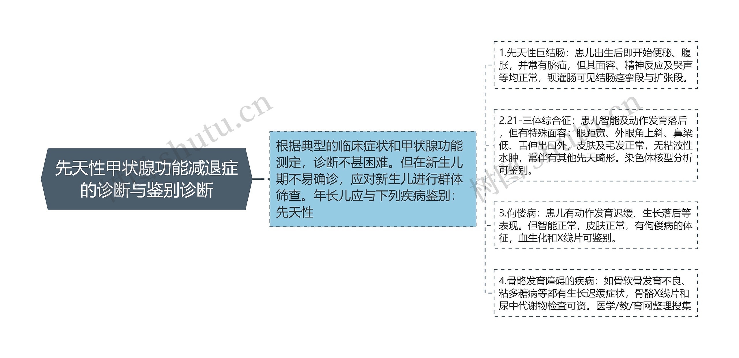 先天性甲状腺功能减退症的诊断与鉴别诊断思维导图