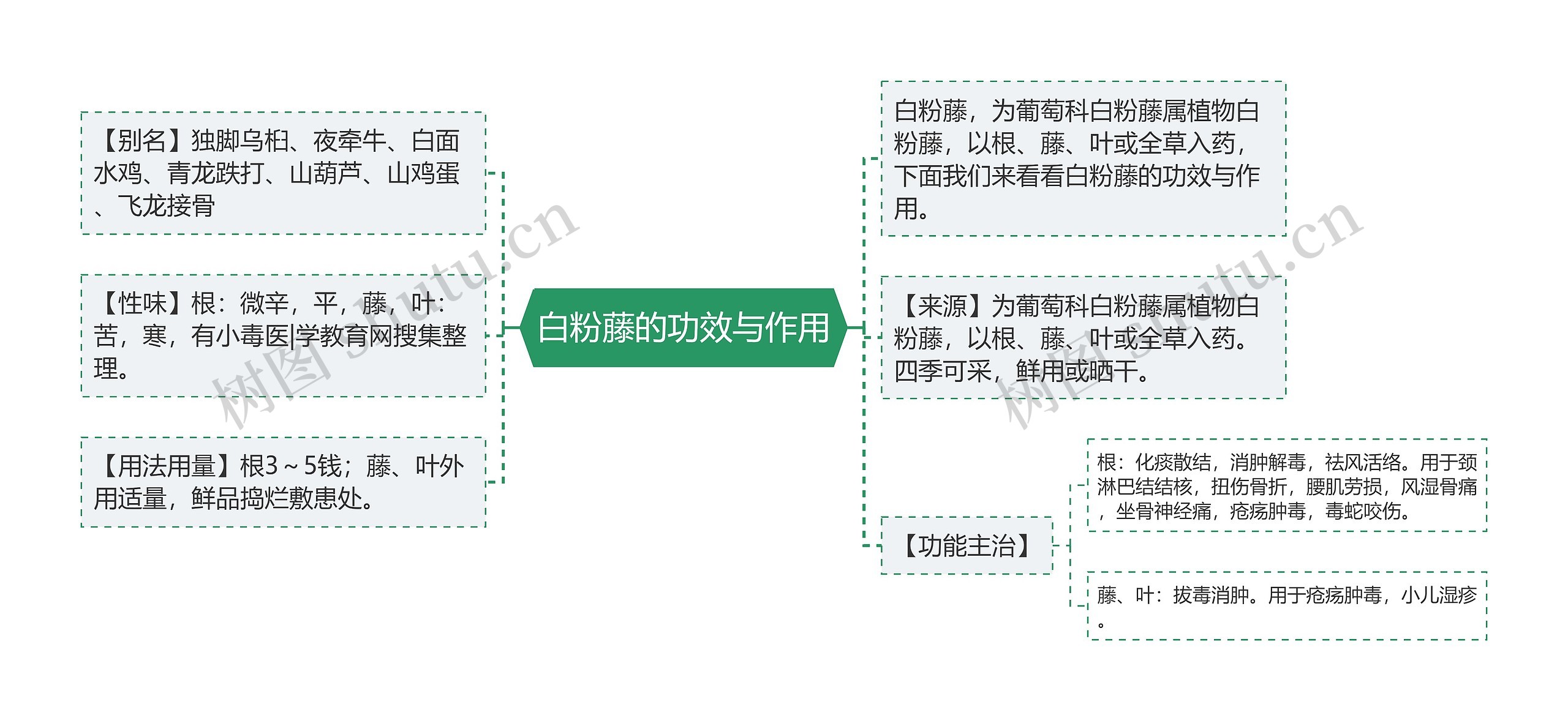 白粉藤的功效与作用思维导图