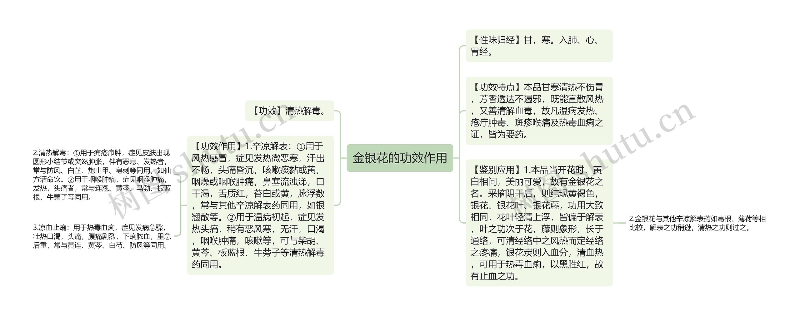 金银花的功效作用思维导图