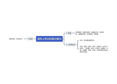 湿热上蒸证的施治要点