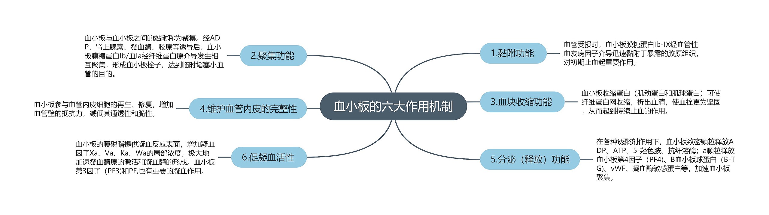 血小板的六大作用机制