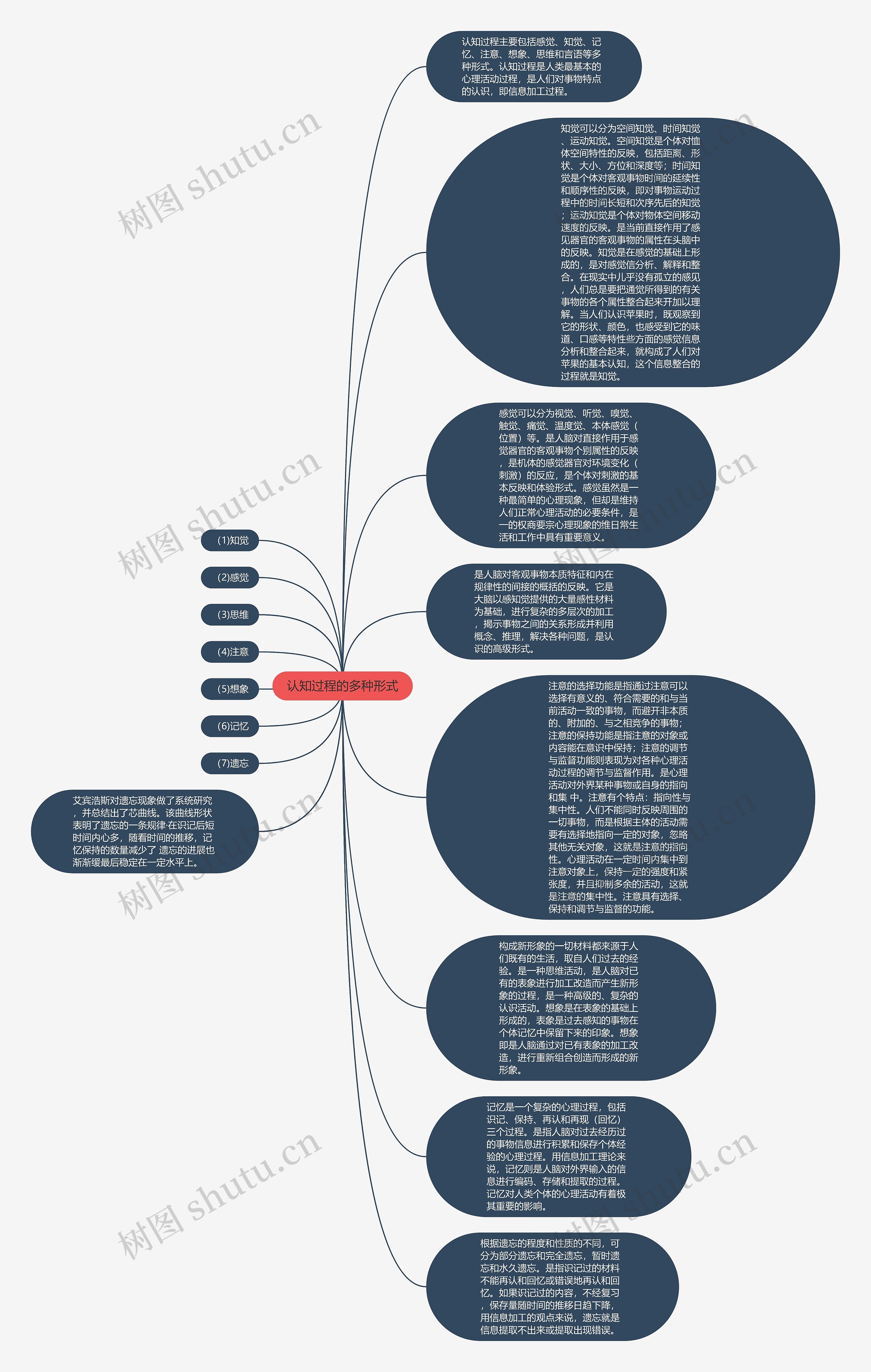 认知过程的多种形式思维导图