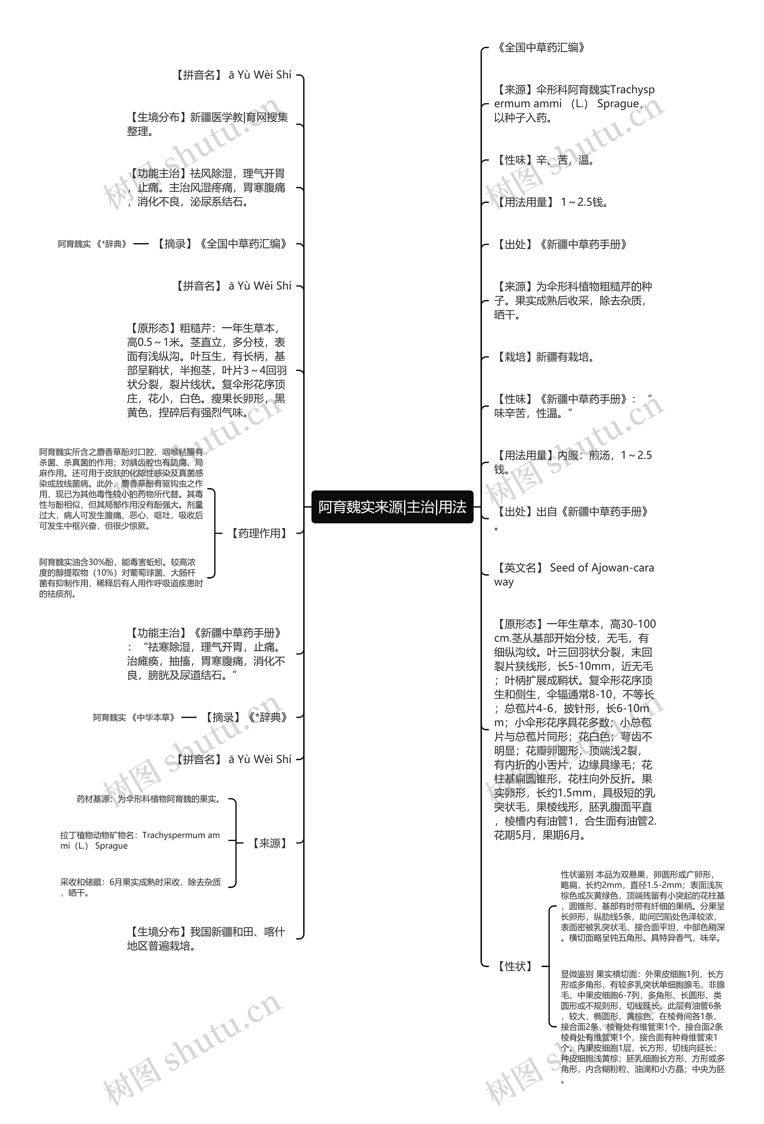 阿育魏实来源|主治|用法思维导图