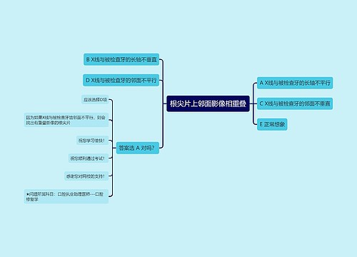 根尖片上邻面影像相重叠