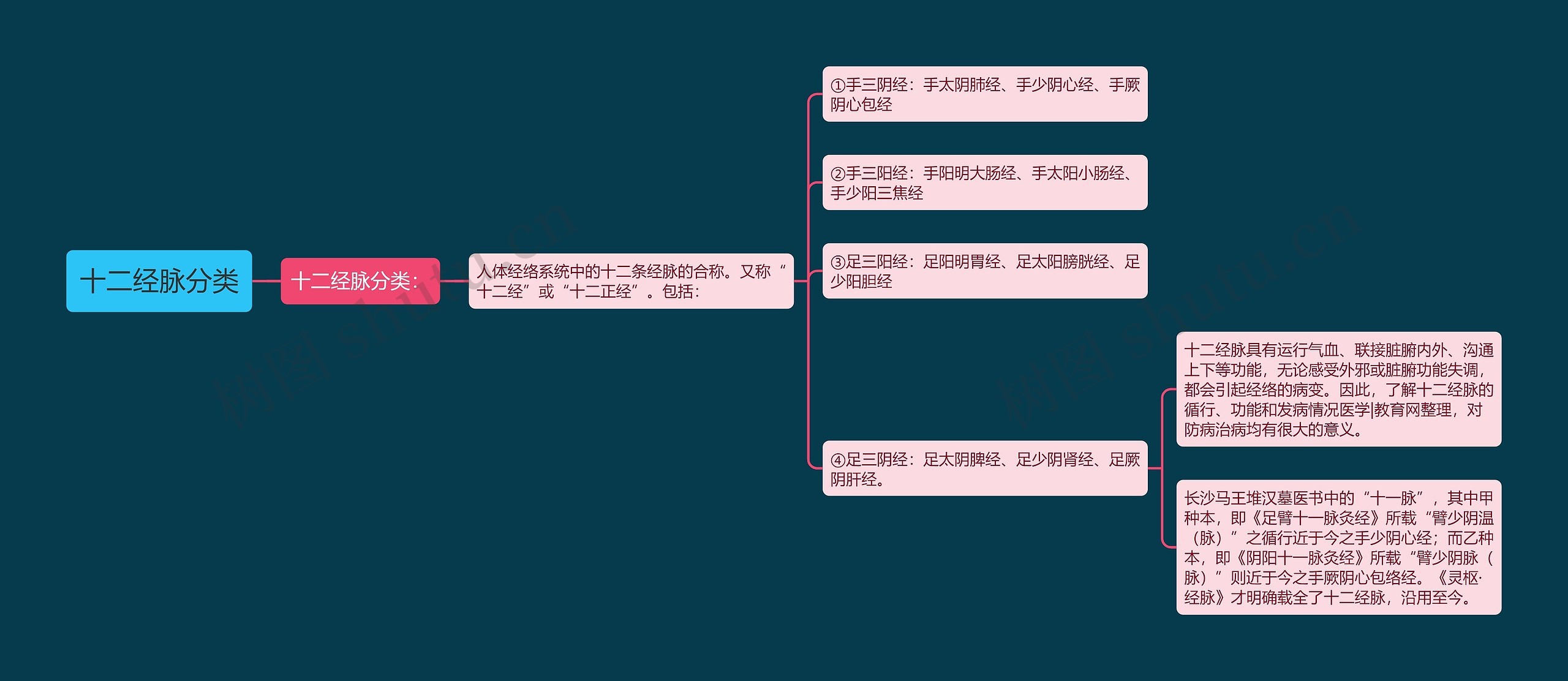 十二经脉分类思维导图