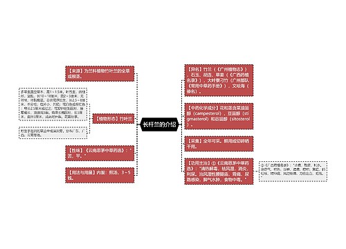 长杆兰的介绍