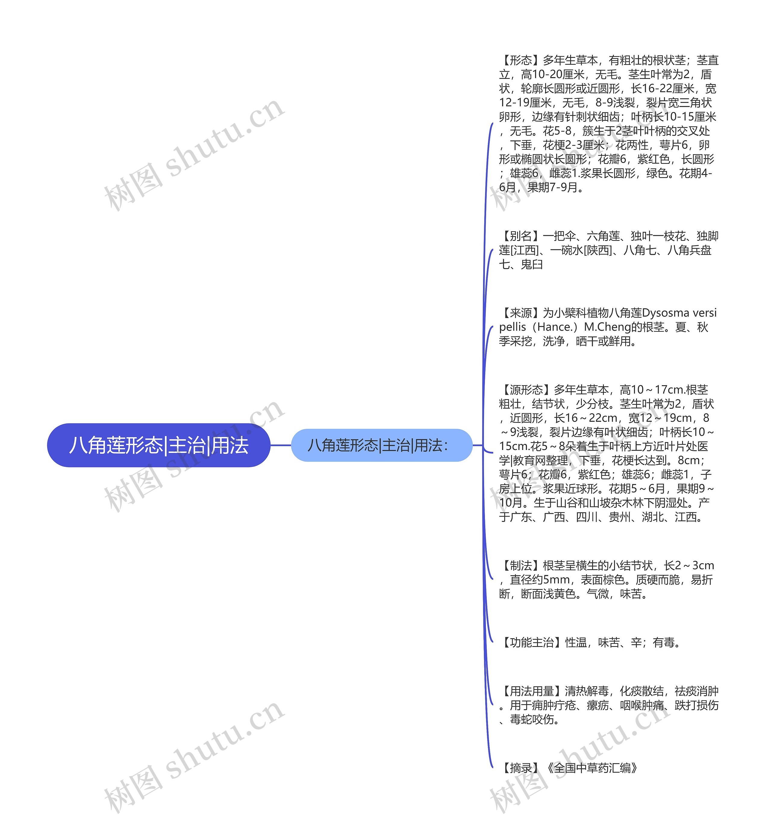 八角莲形态|主治|用法思维导图