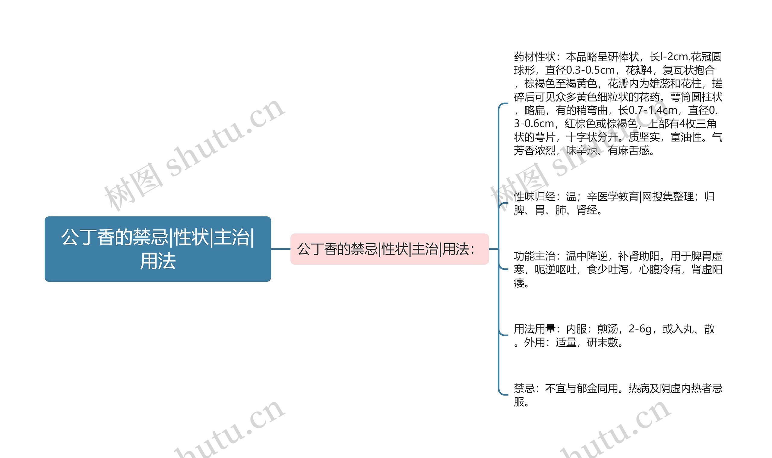 公丁香的禁忌|性状|主治|用法思维导图