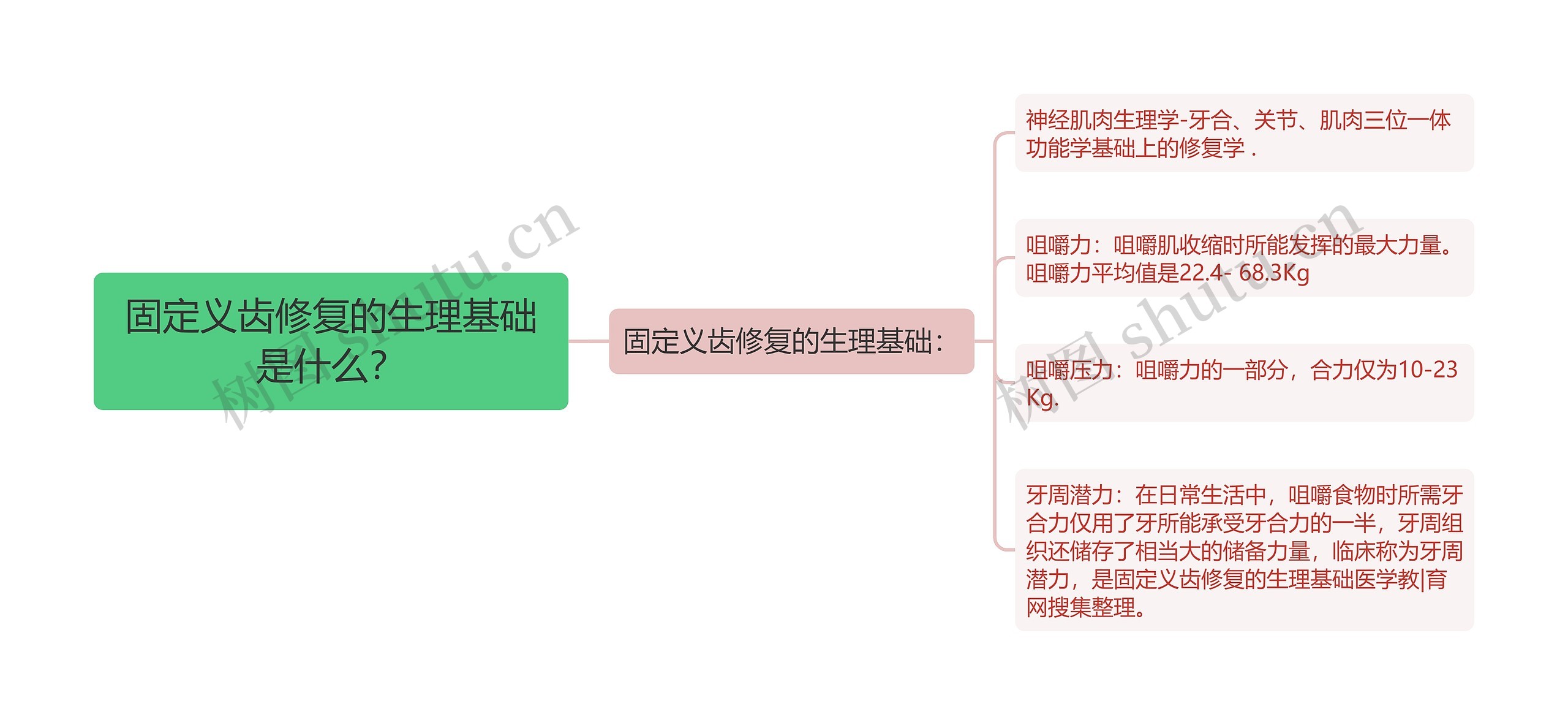 固定义齿修复的生理基础是什么？