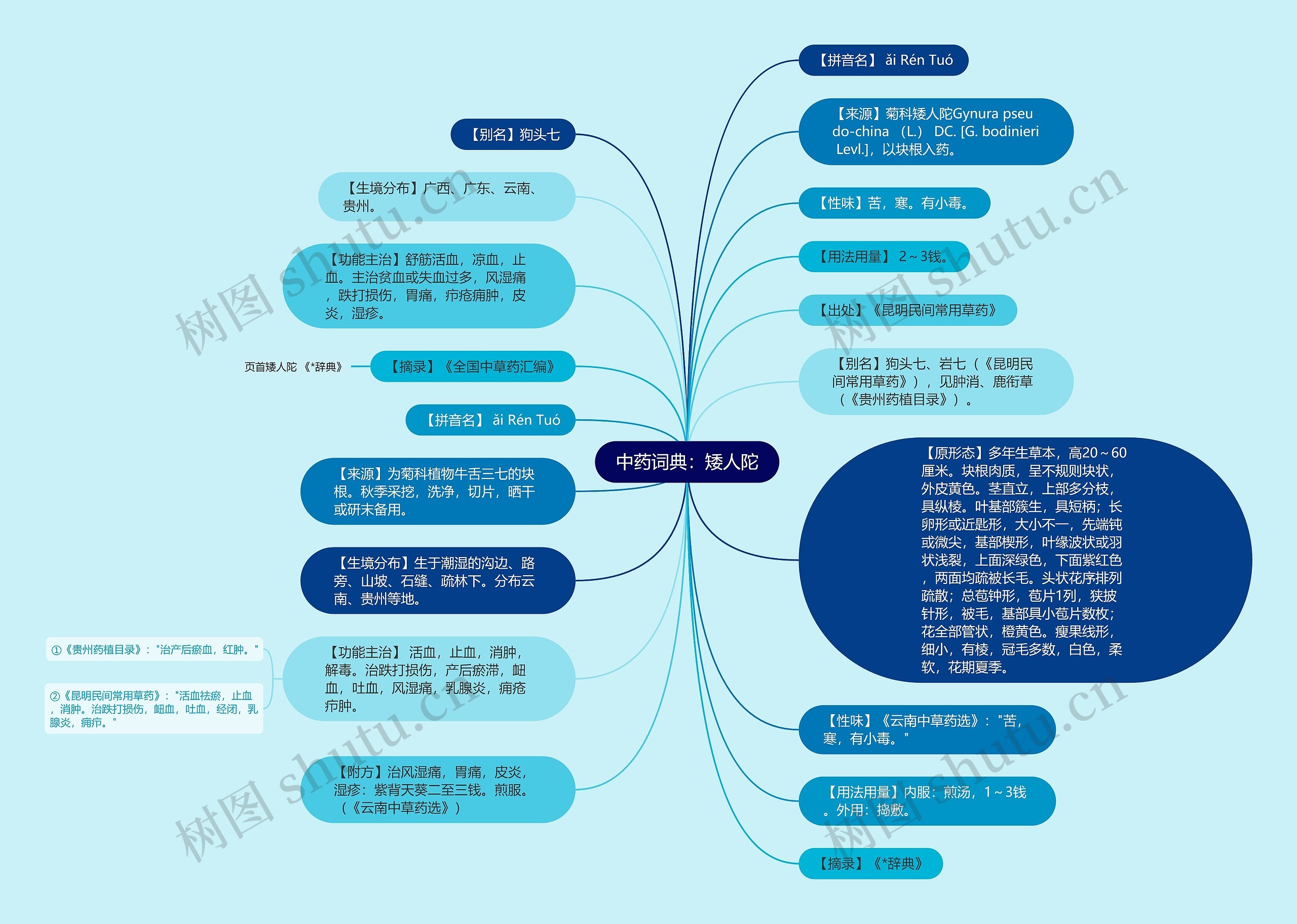 中药词典：矮人陀