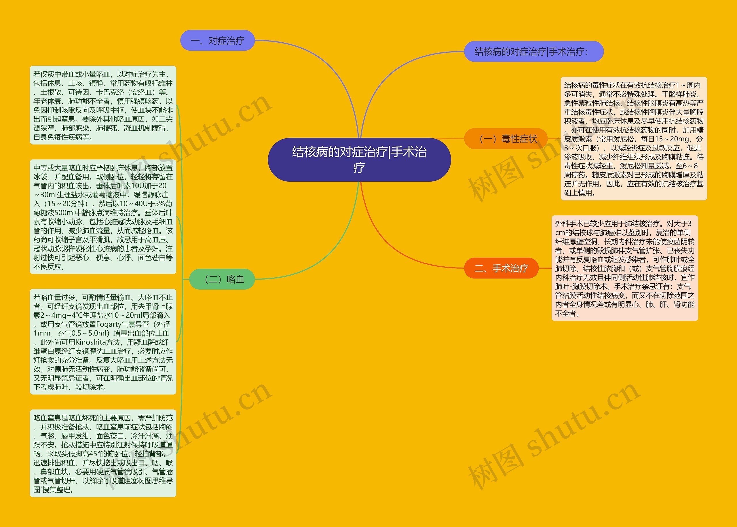 结核病的对症治疗|手术治疗