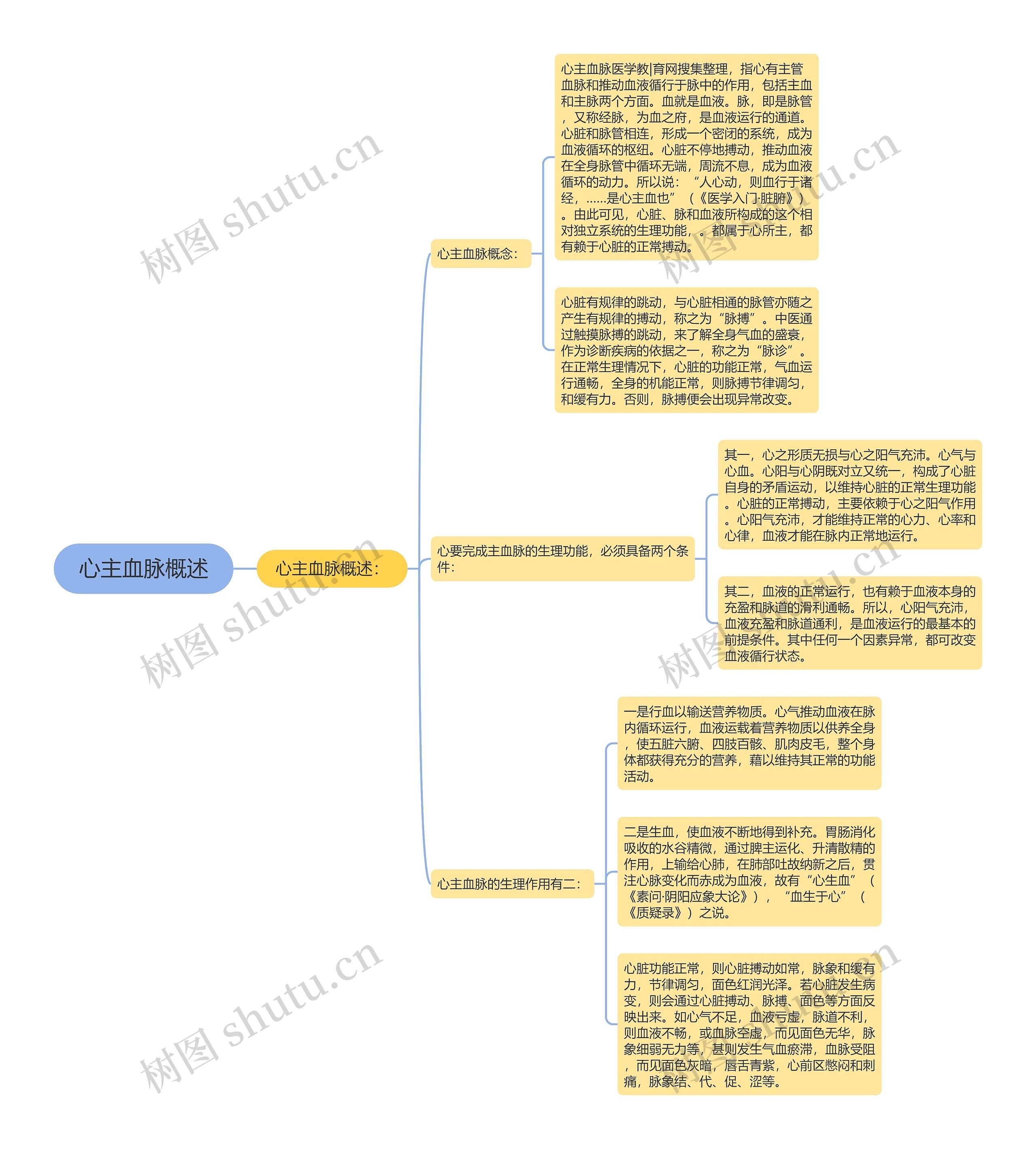 心主血脉概述思维导图