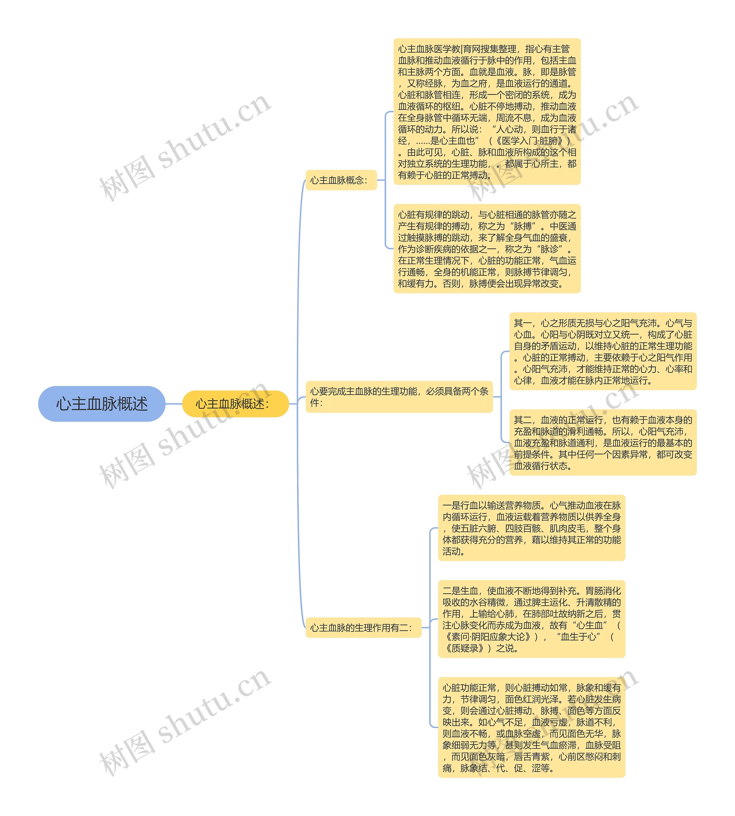 心主血脉概述 心主血脉概述