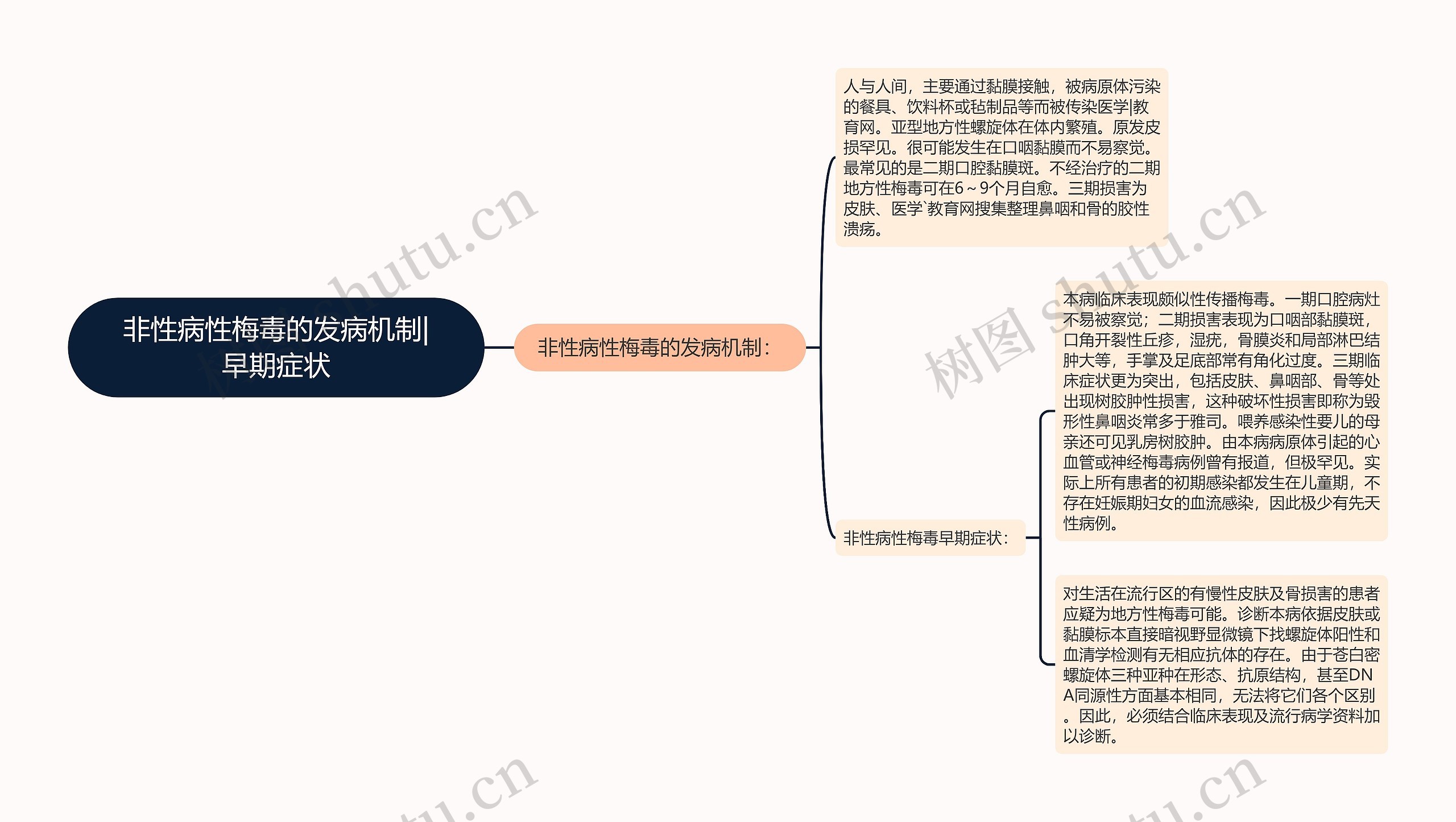 非性病性梅毒的发病机制|早期症状思维导图