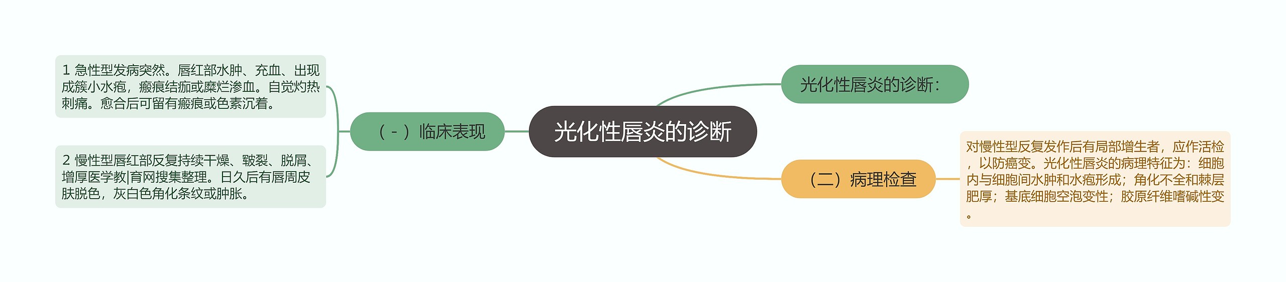 光化性唇炎的诊断 光化性唇炎的诊断