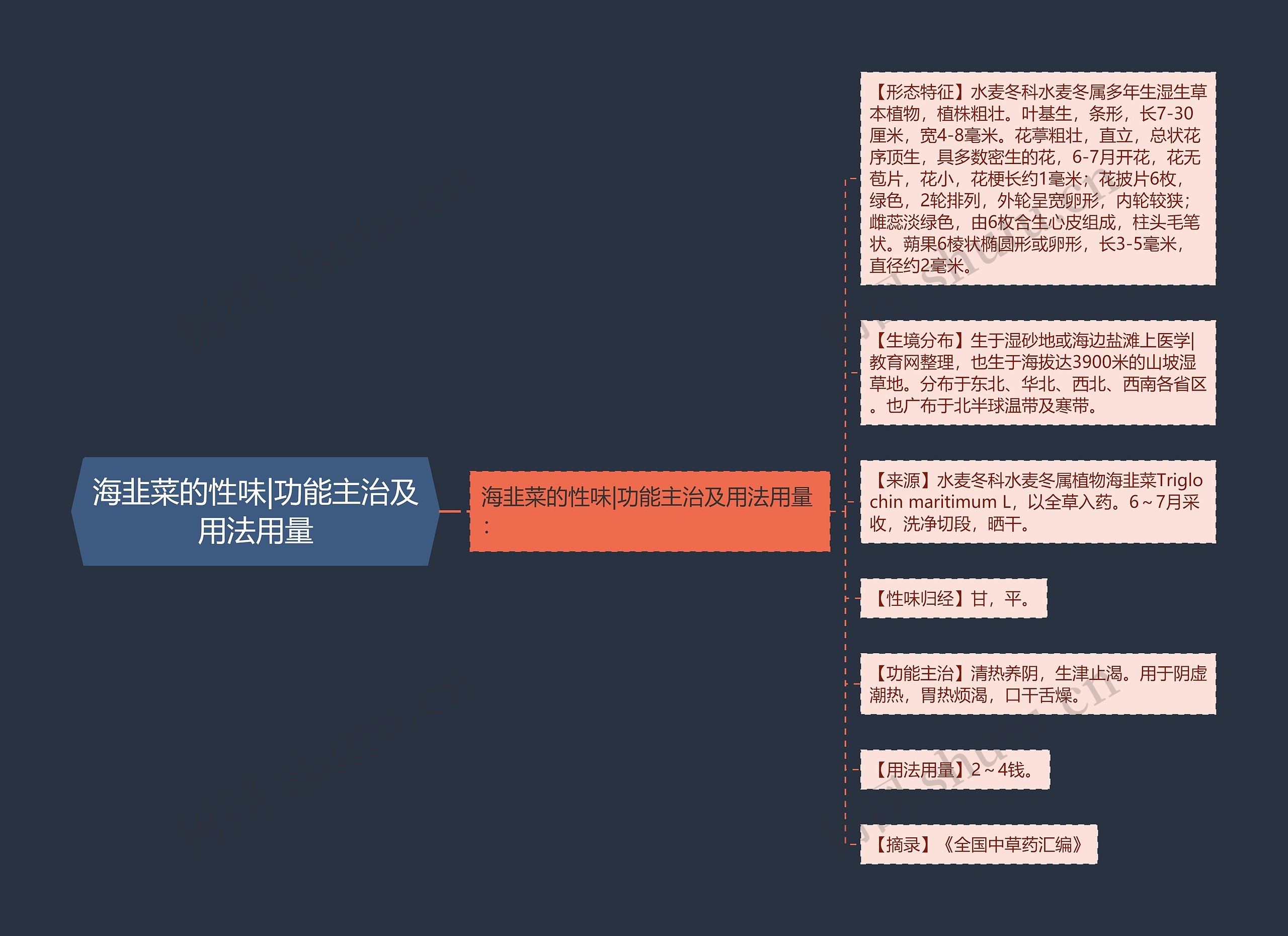 海韭菜的性味|功能主治及用法用量