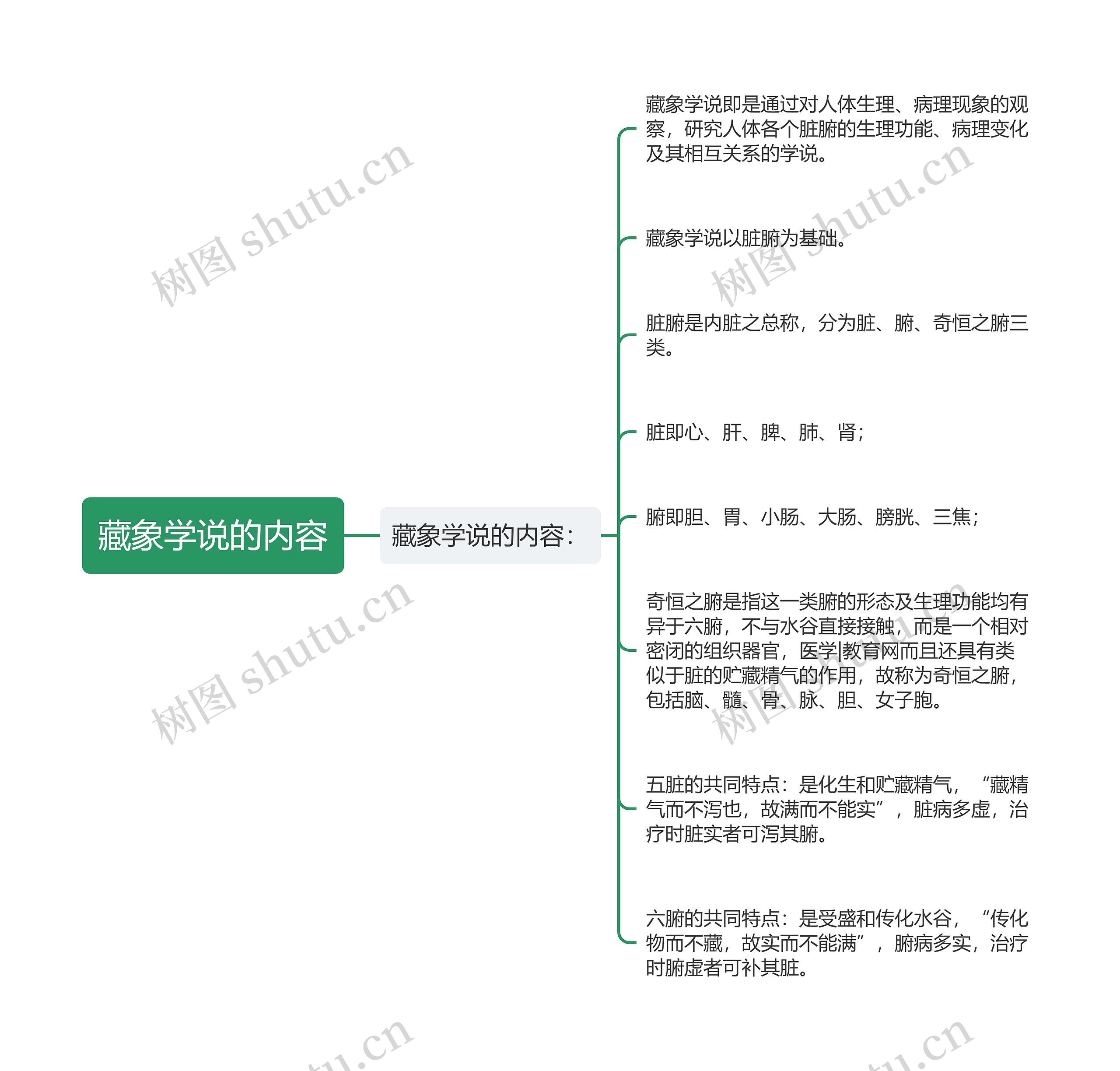 藏象学说的内容