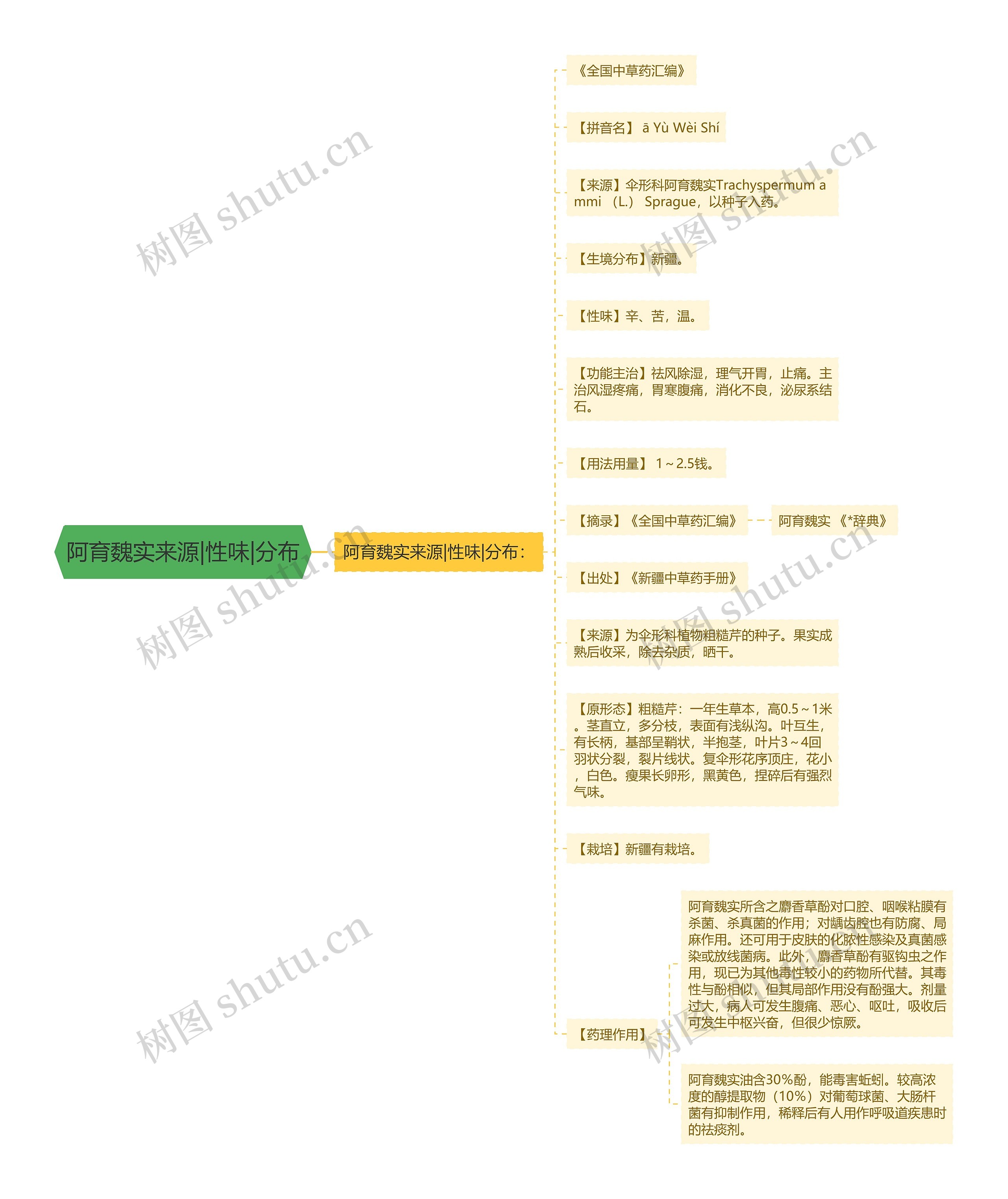 阿育魏实来源|性味|分布思维导图