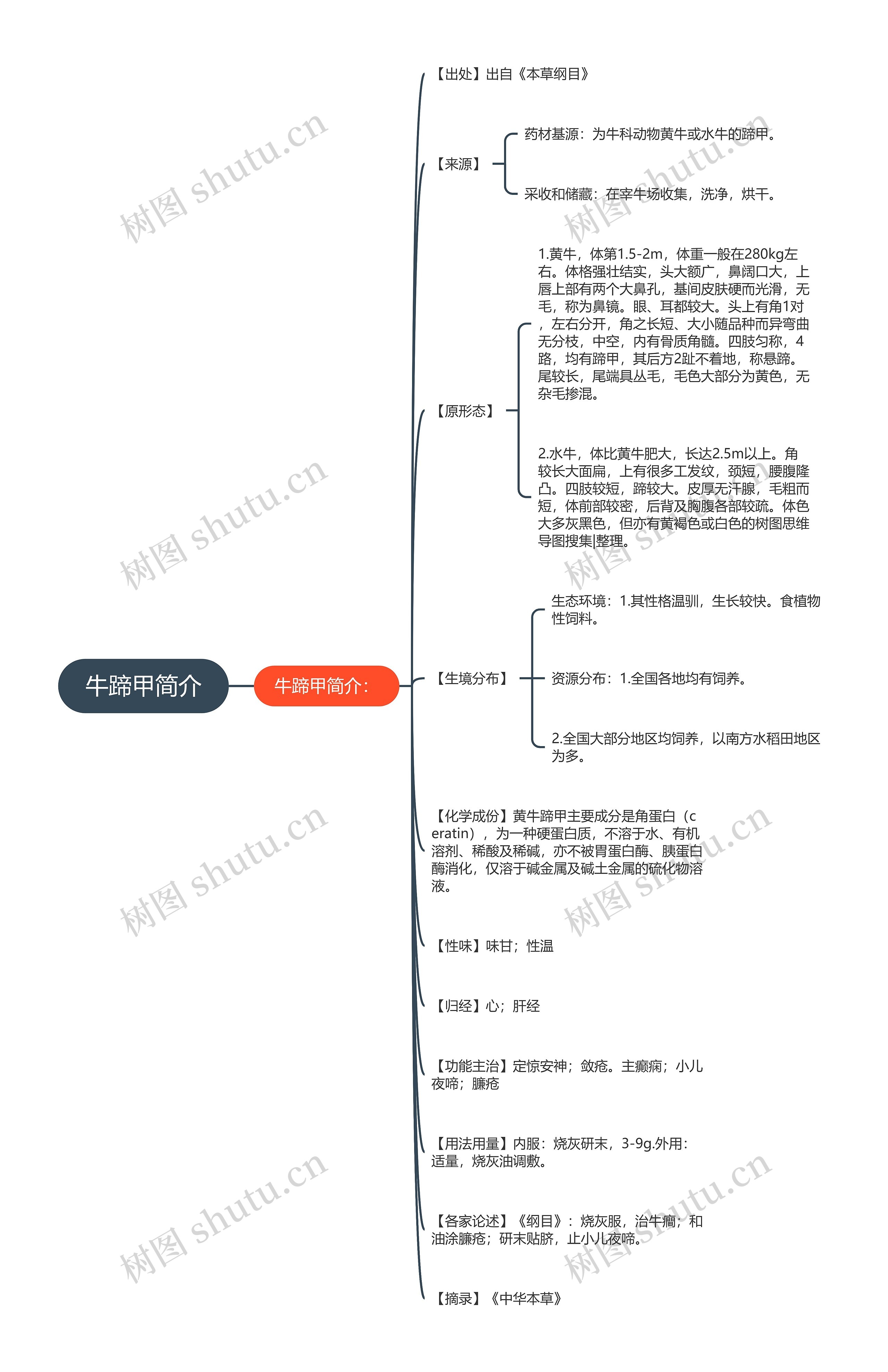 牛蹄甲简介思维导图