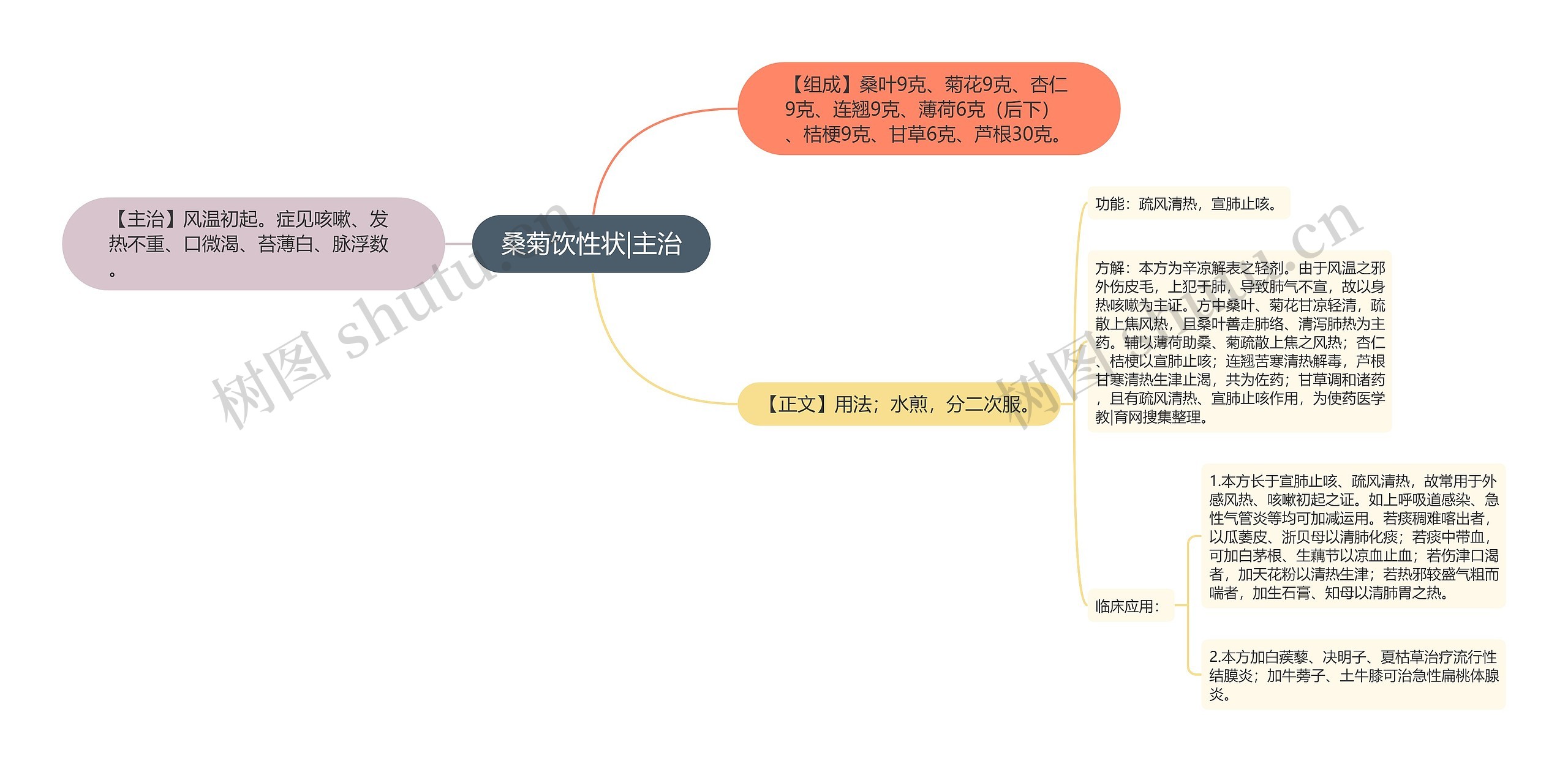 桑菊饮性状|主治思维导图