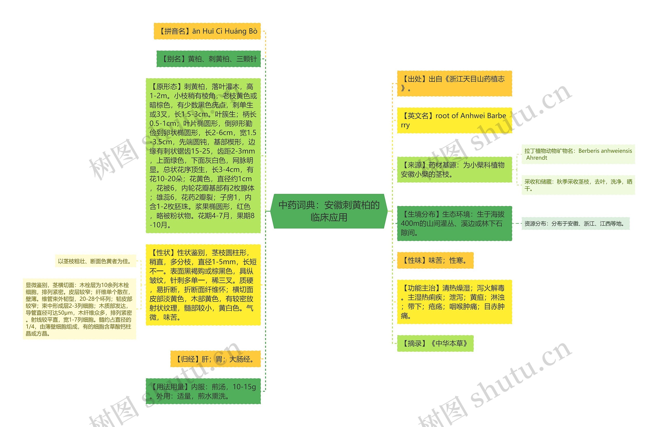 中药词典：安徽刺黄柏的临床应用思维导图