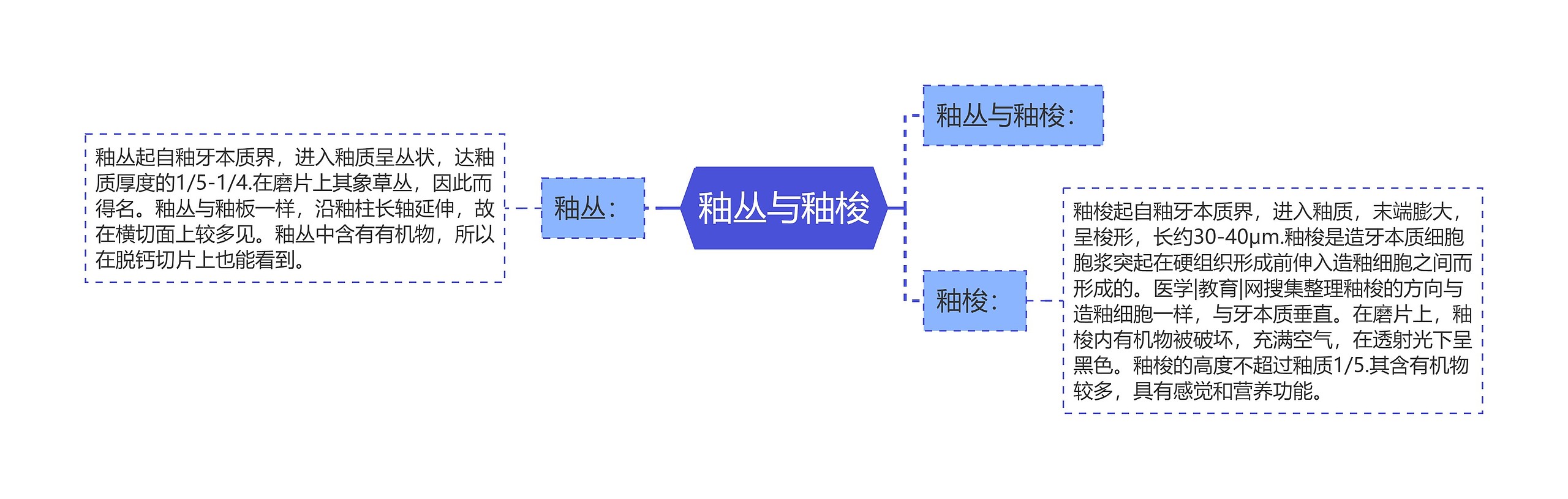 釉丛与釉梭思维导图