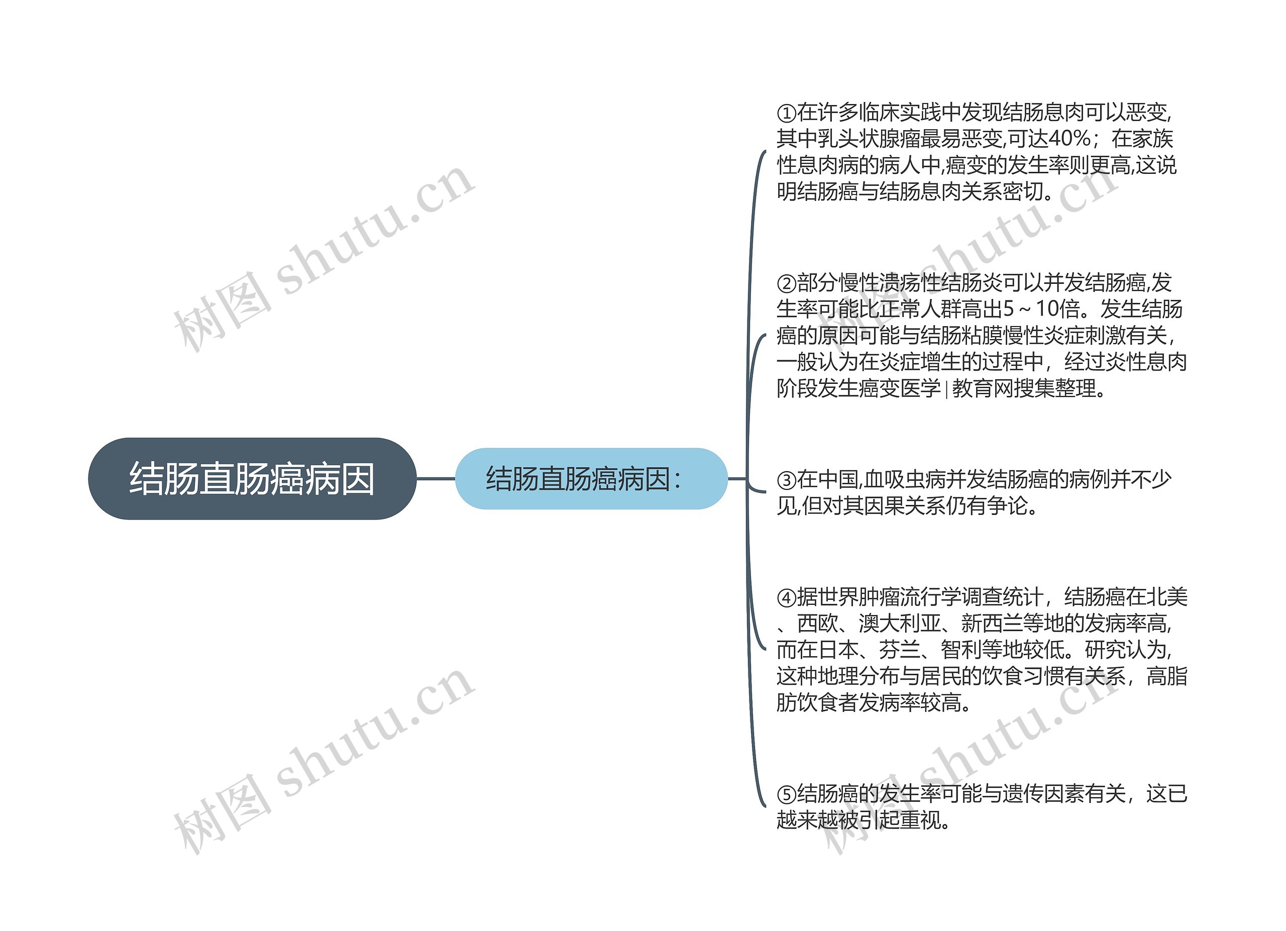 结肠直肠癌病因