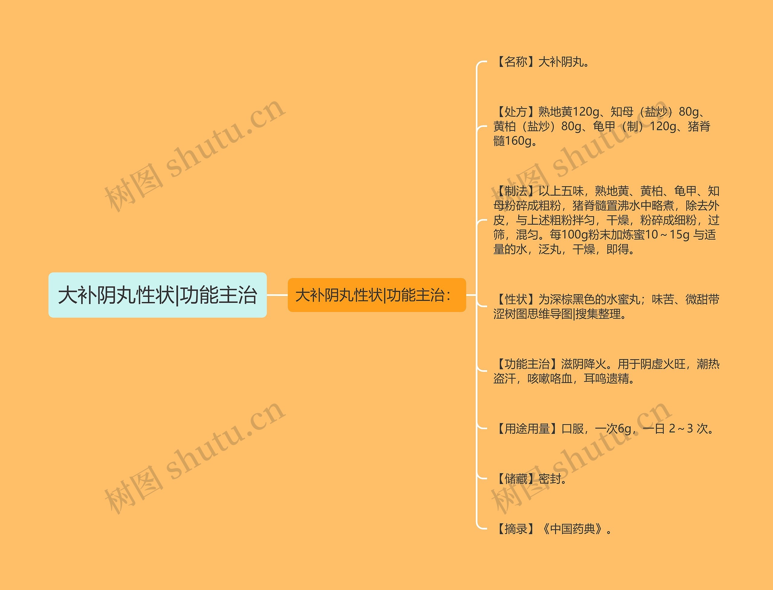 大补阴丸性状|功能主治