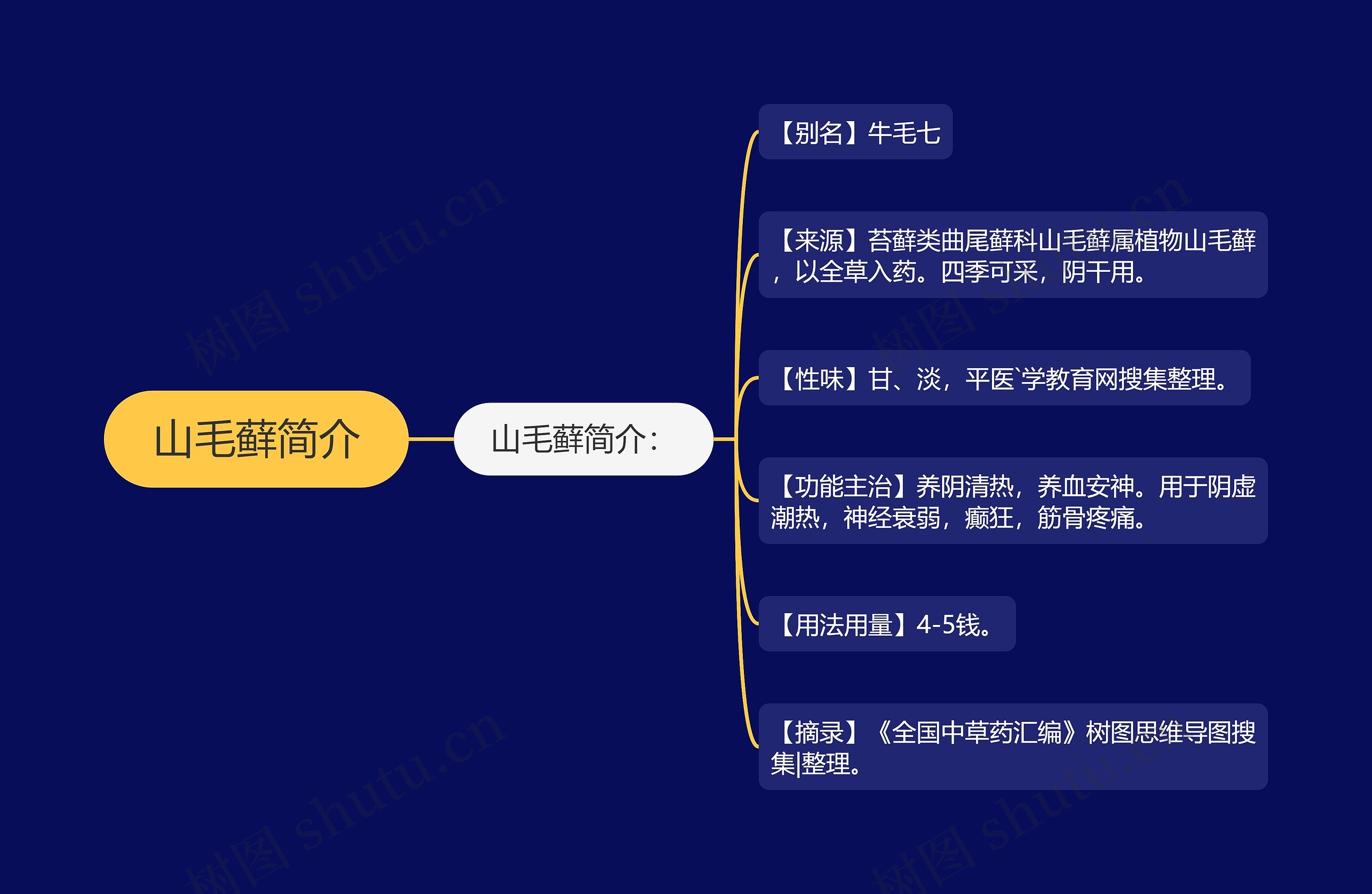 山毛藓简介思维导图