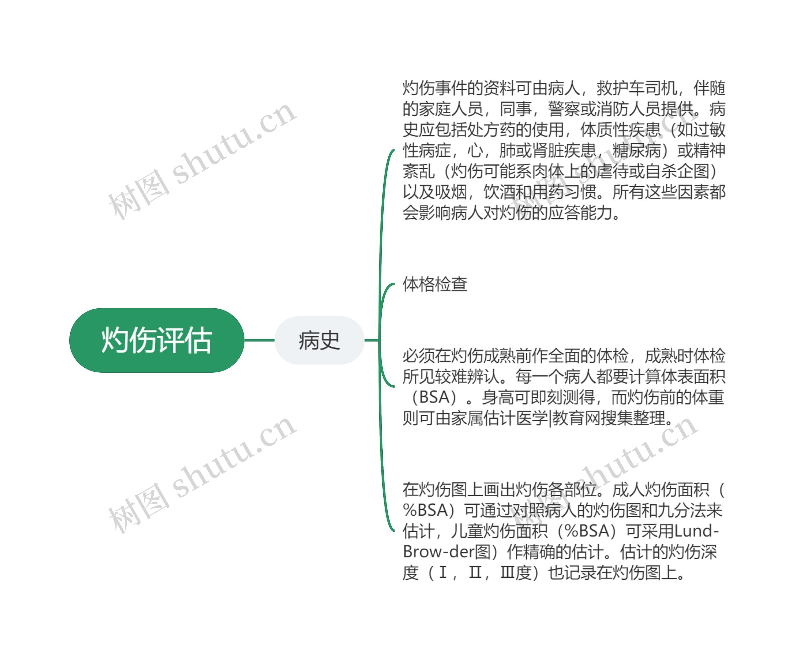 灼伤评估 灼伤评估