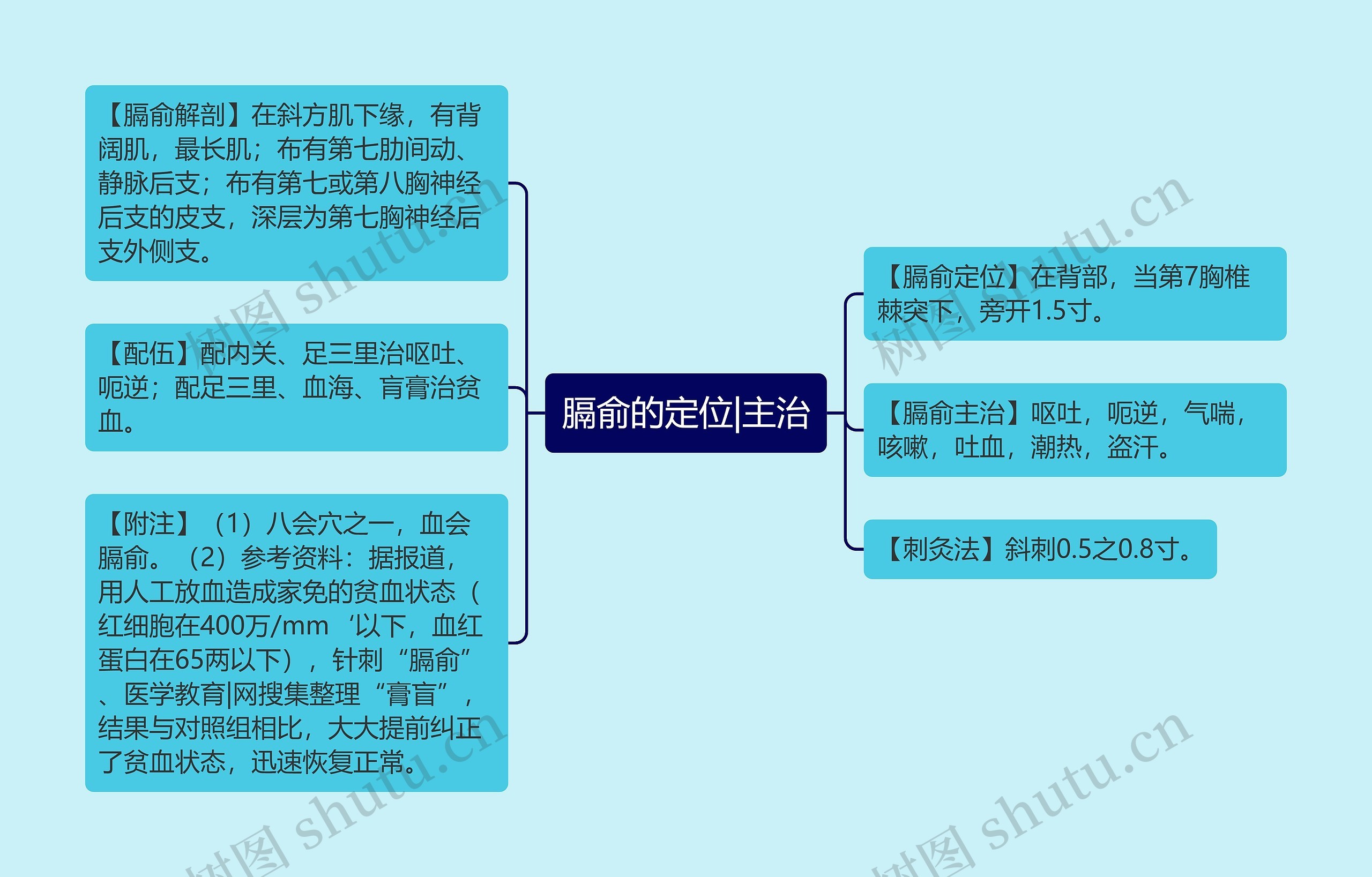 膈俞的定位|主治