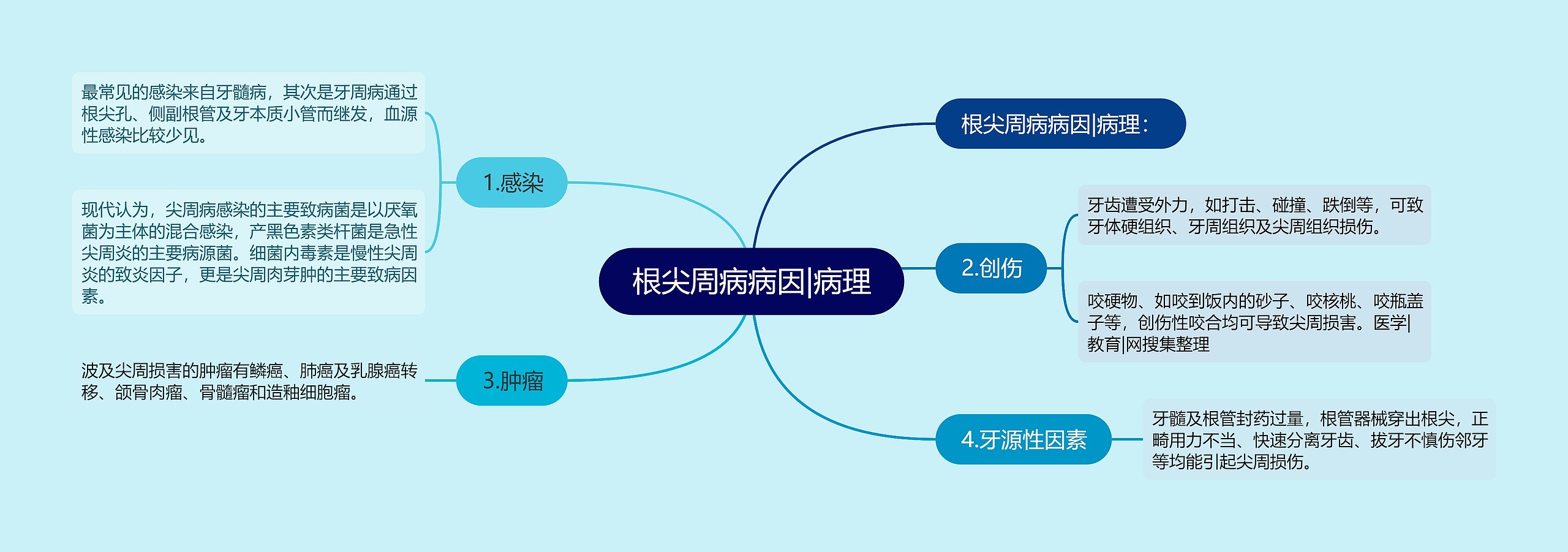 根尖周病病因|病理