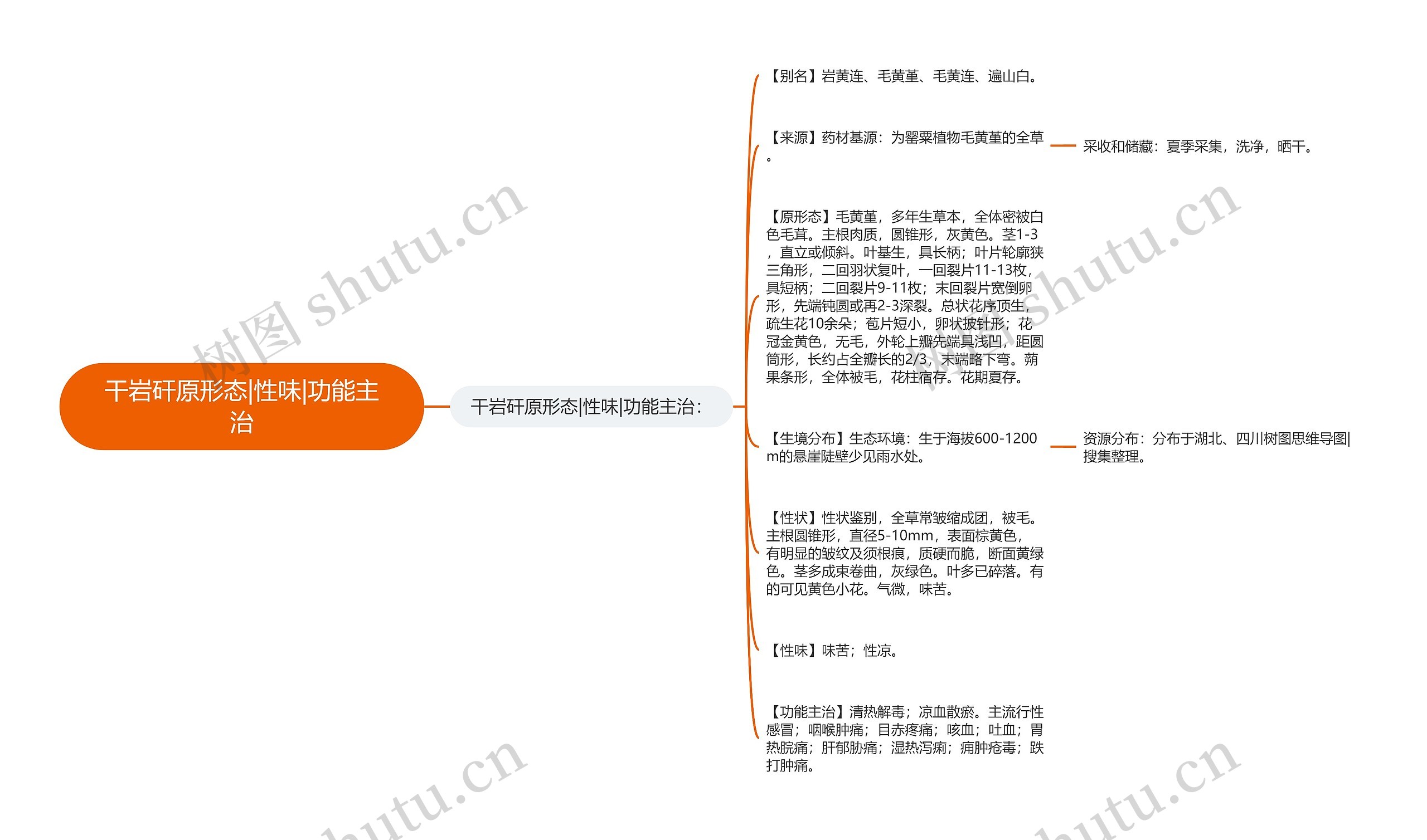 干岩矸原形态|性味|功能主治思维导图