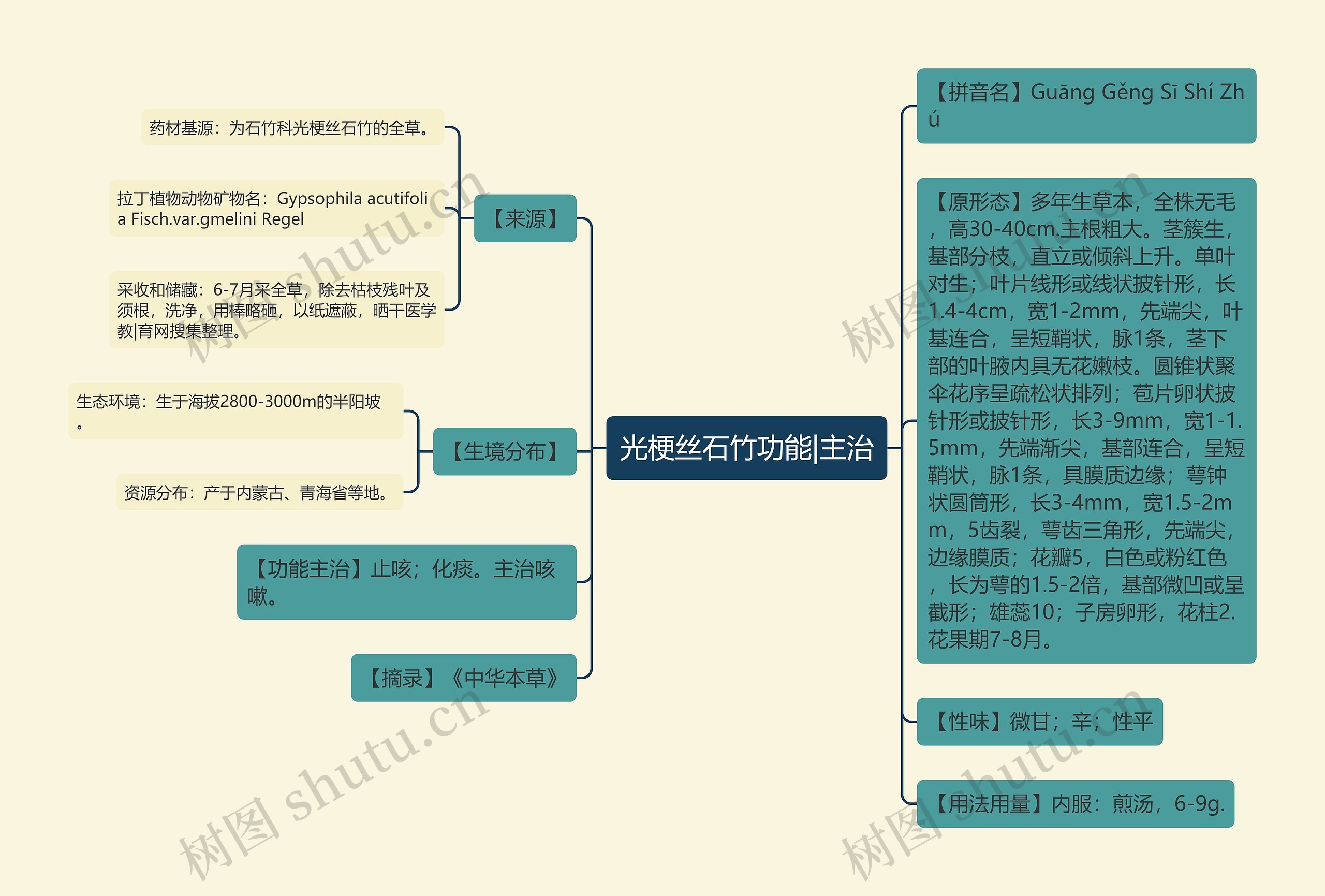 光梗丝石竹功能|主治思维导图