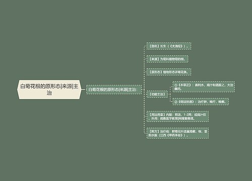 白菊花根的原形态|来源|主治