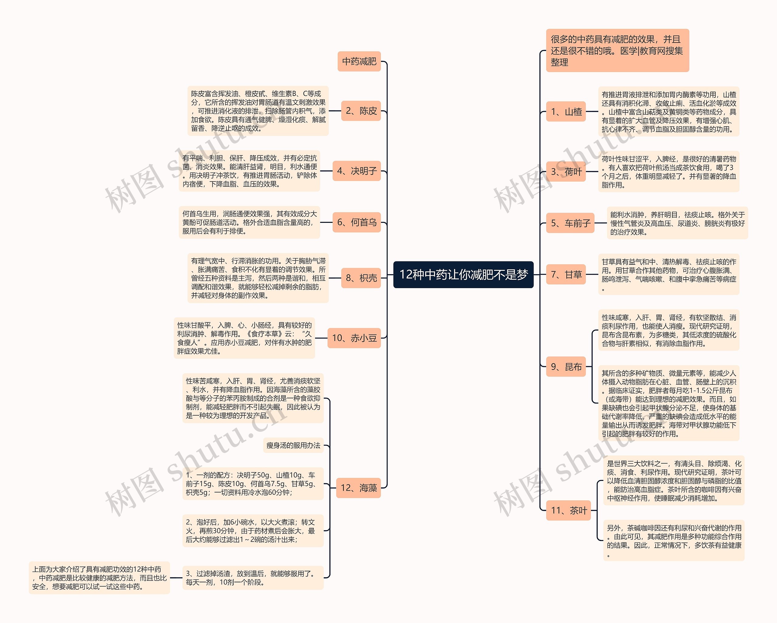 12种中药让你减肥不是梦思维导图