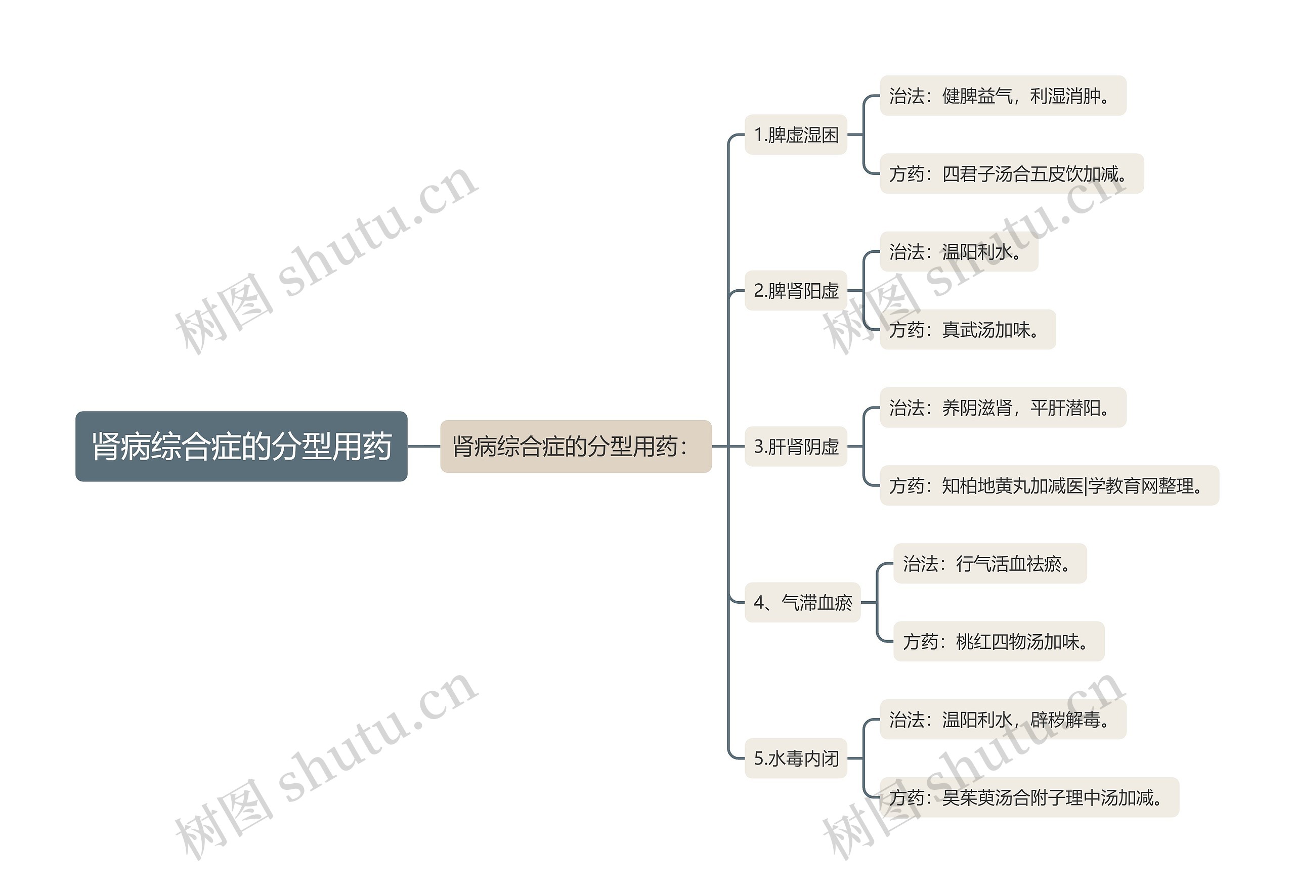 肾病综合症的分型用药思维导图
