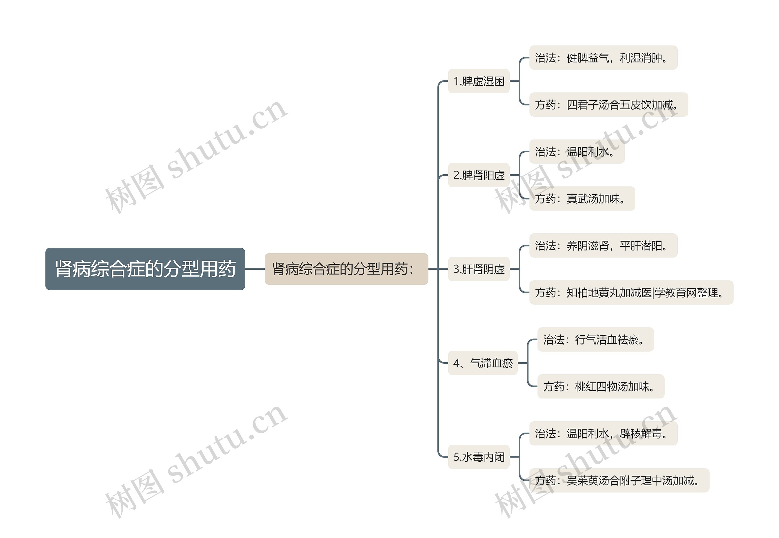 肾病综合症的分型用药 肾病综合症的分型用药