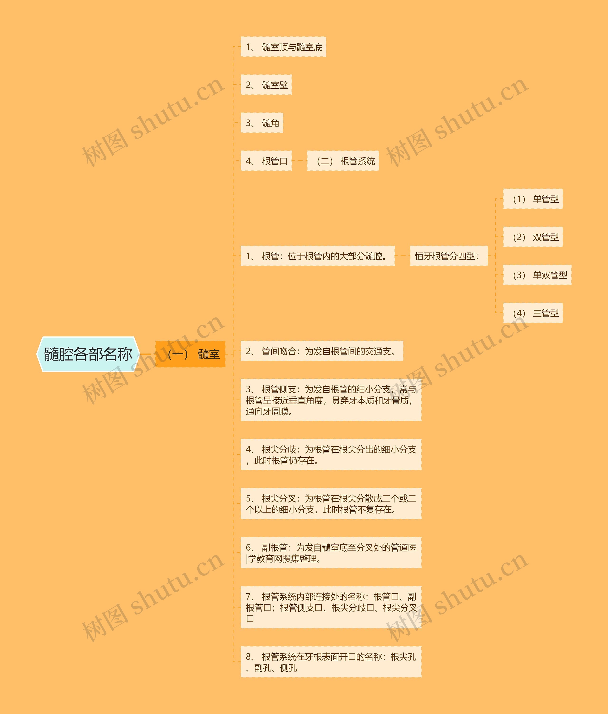 髓腔各部名称思维导图