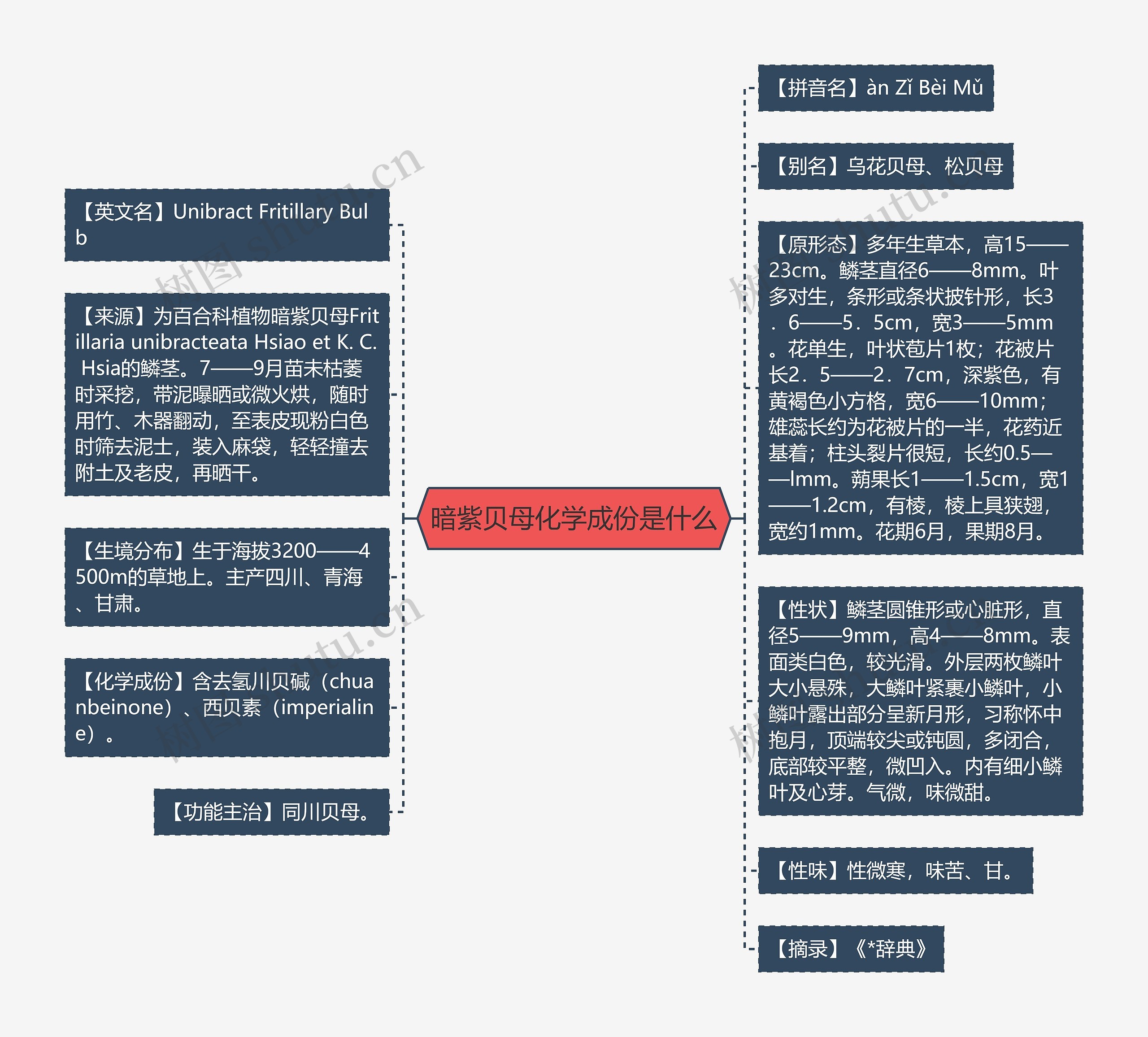 暗紫贝母化学成份是什么思维导图