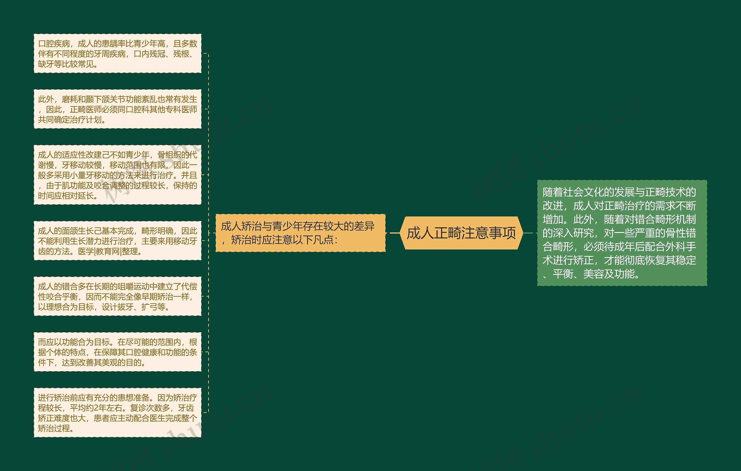 成人正畸注意事项思维导图