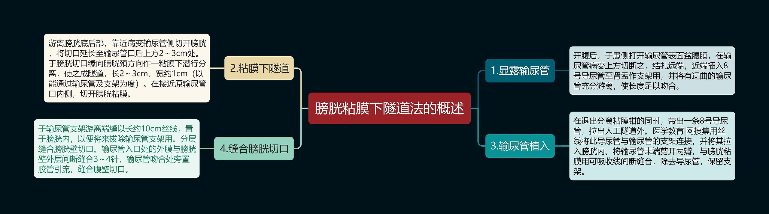 膀胱粘膜下隧道法的概述