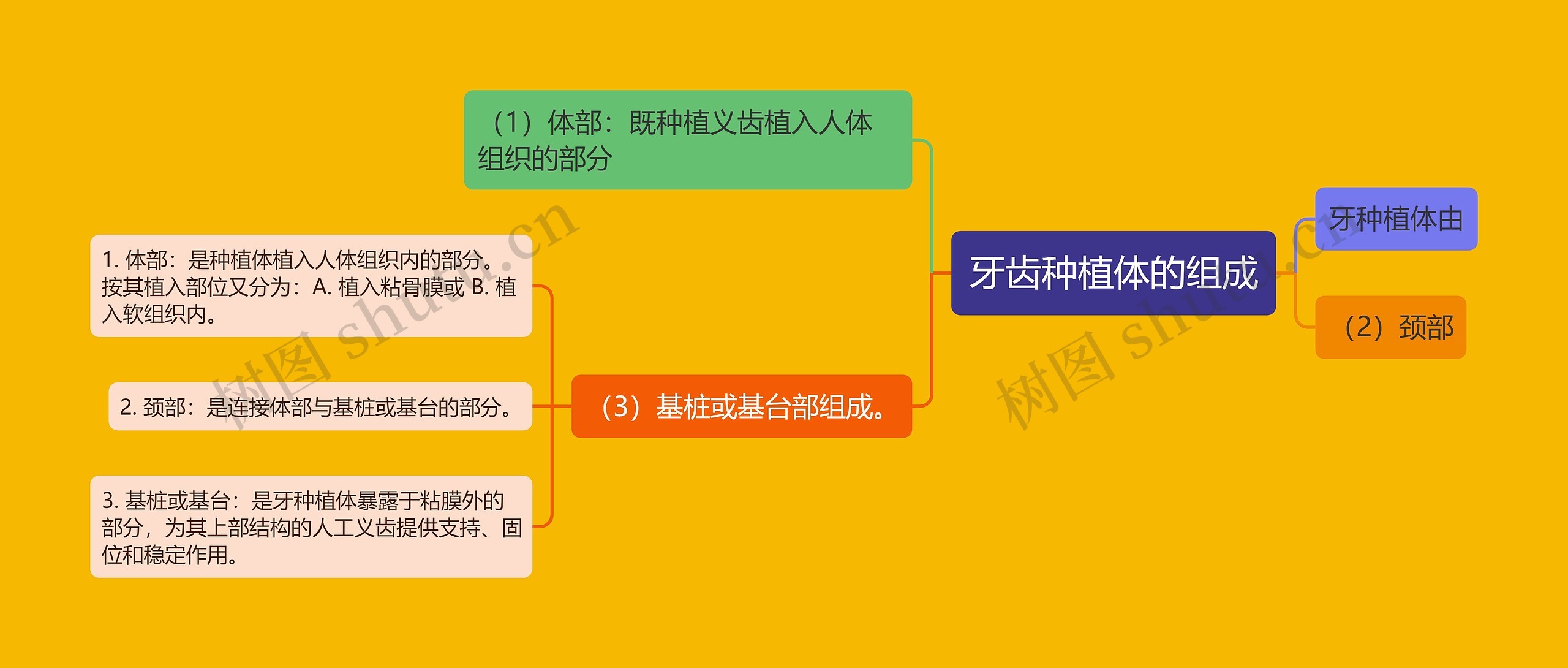 牙齿种植体的组成思维导图