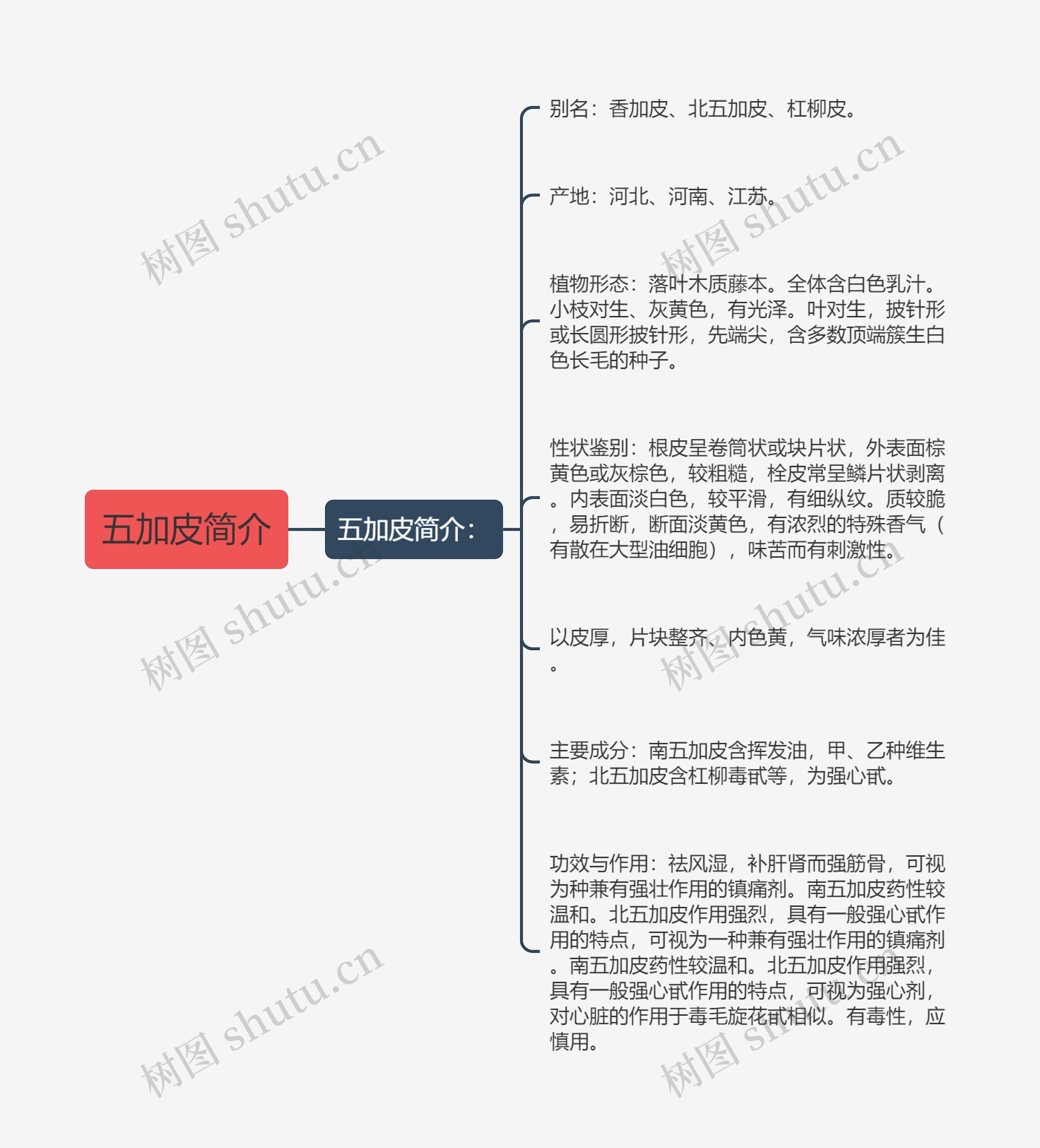 五加皮简介思维导图